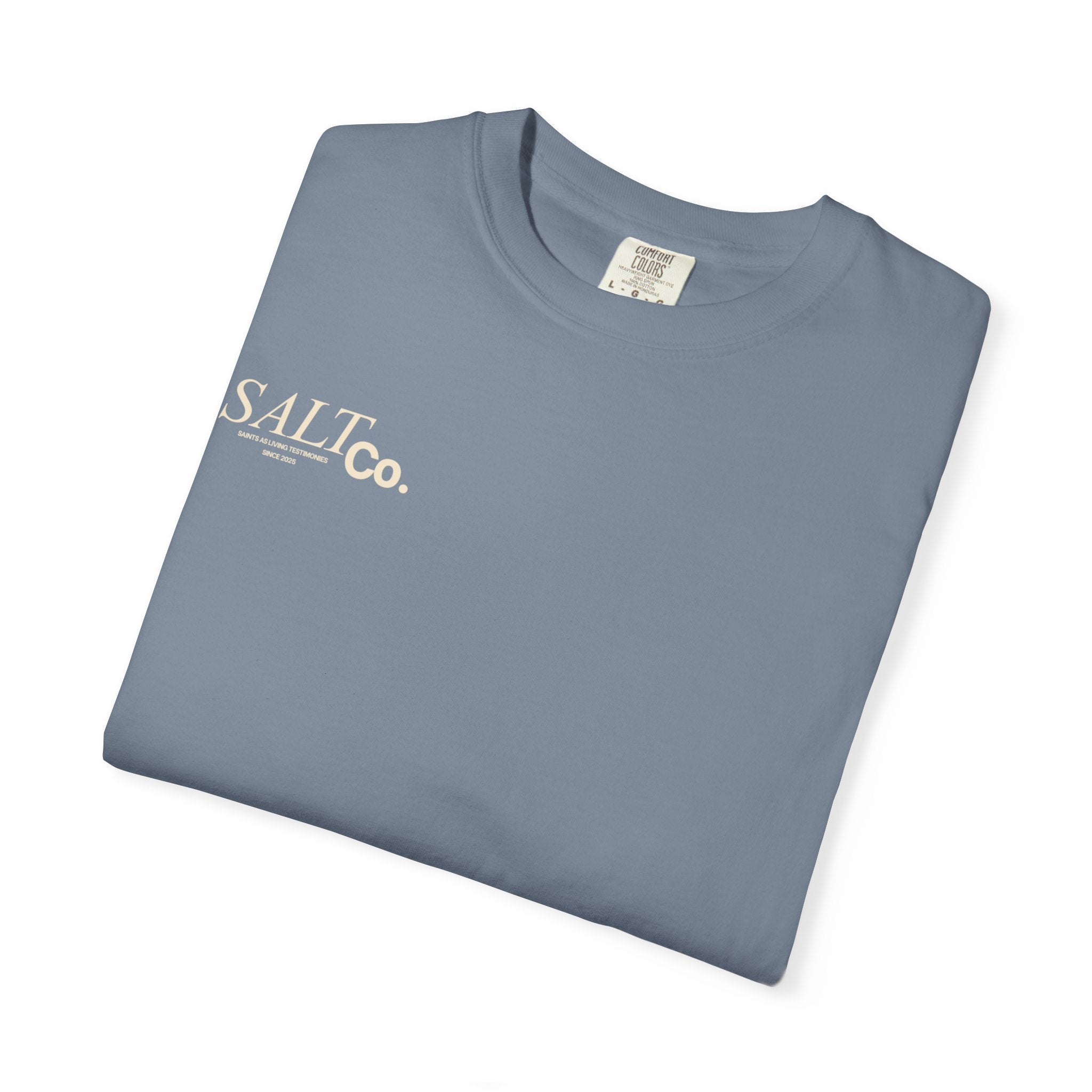 Need Prayer? T-Shirt — S.A.L. Co. Christian Graphic Tee