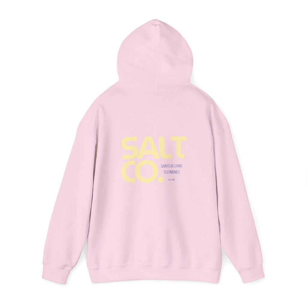 Salt Co. Minimal Logo Hoodie — Coastal-Inspired Neutral Pullover