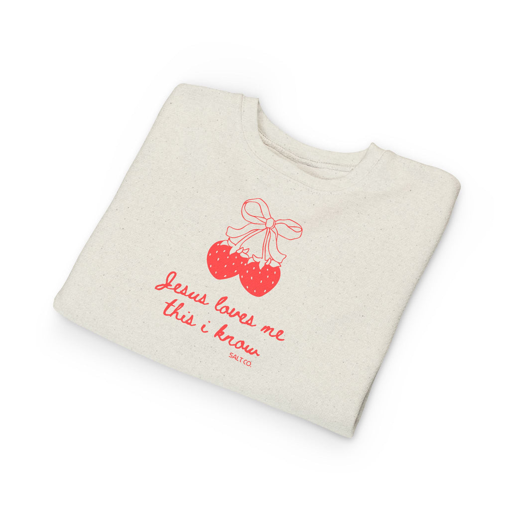 Toddler Girl Sweatshirt - "Jesus Loves Me This I Know"