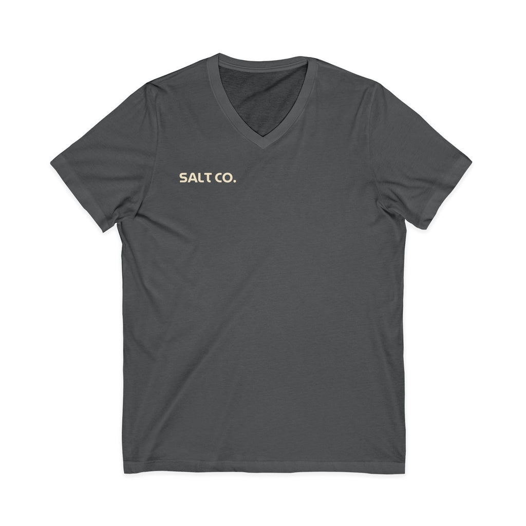 Salt Co. V-Neck Tee — Romans Road
