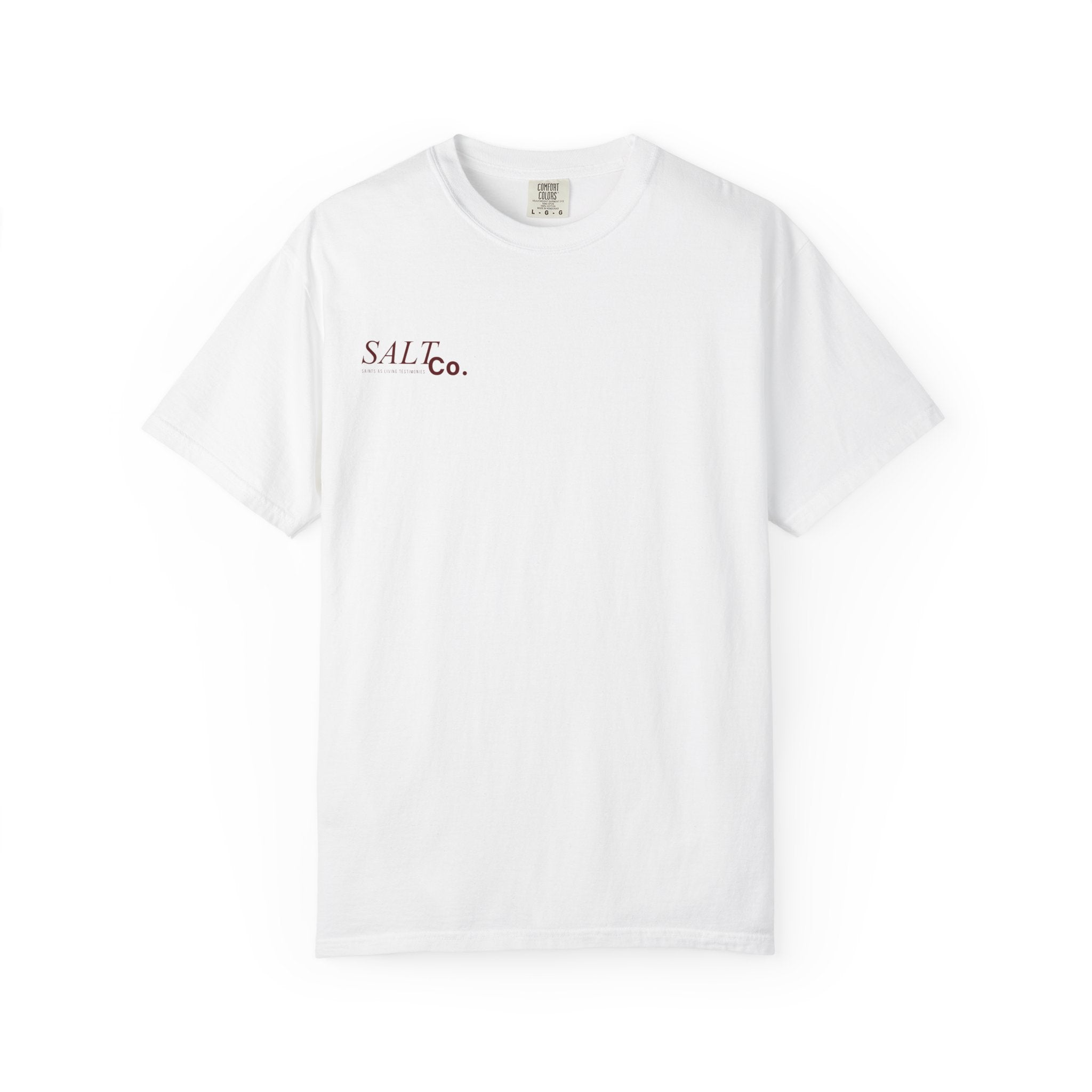 John 14:6 T-Shirt