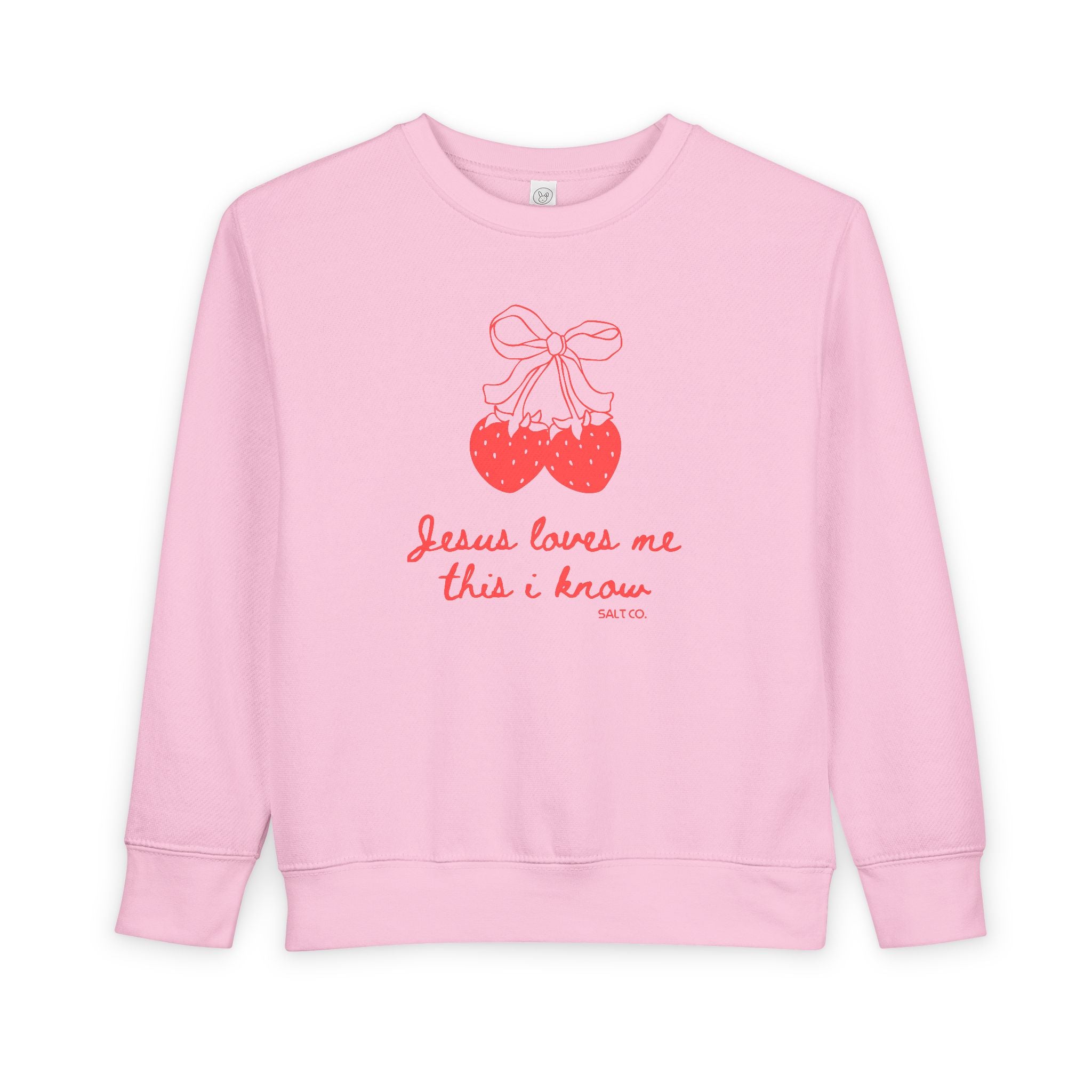 Toddler Girl Sweatshirt - "Jesus Loves Me This I Know"