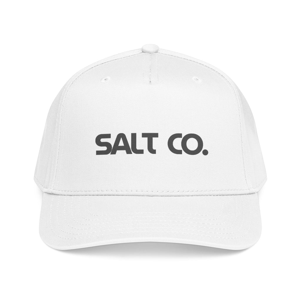 Salt Co. Embroidered Baseball Cap — Mid Profile Casual Hat