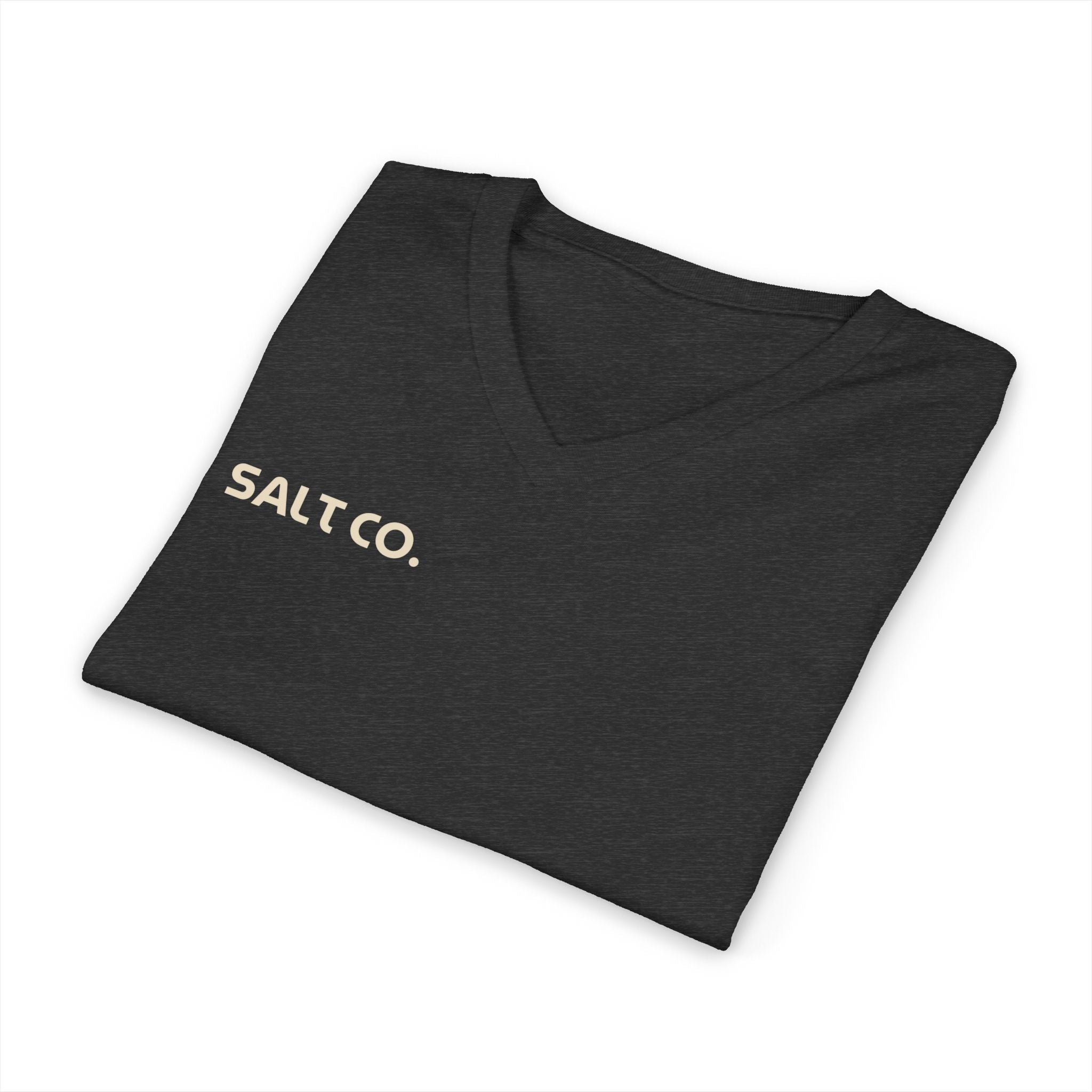 Salt Co. V-Neck Tee — Romans Road