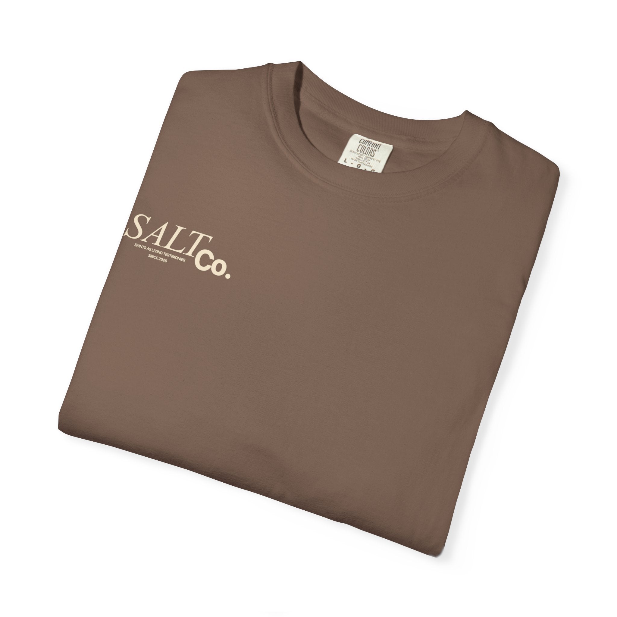 Need Prayer? T-Shirt — S.A.L. Co. Christian Graphic Tee