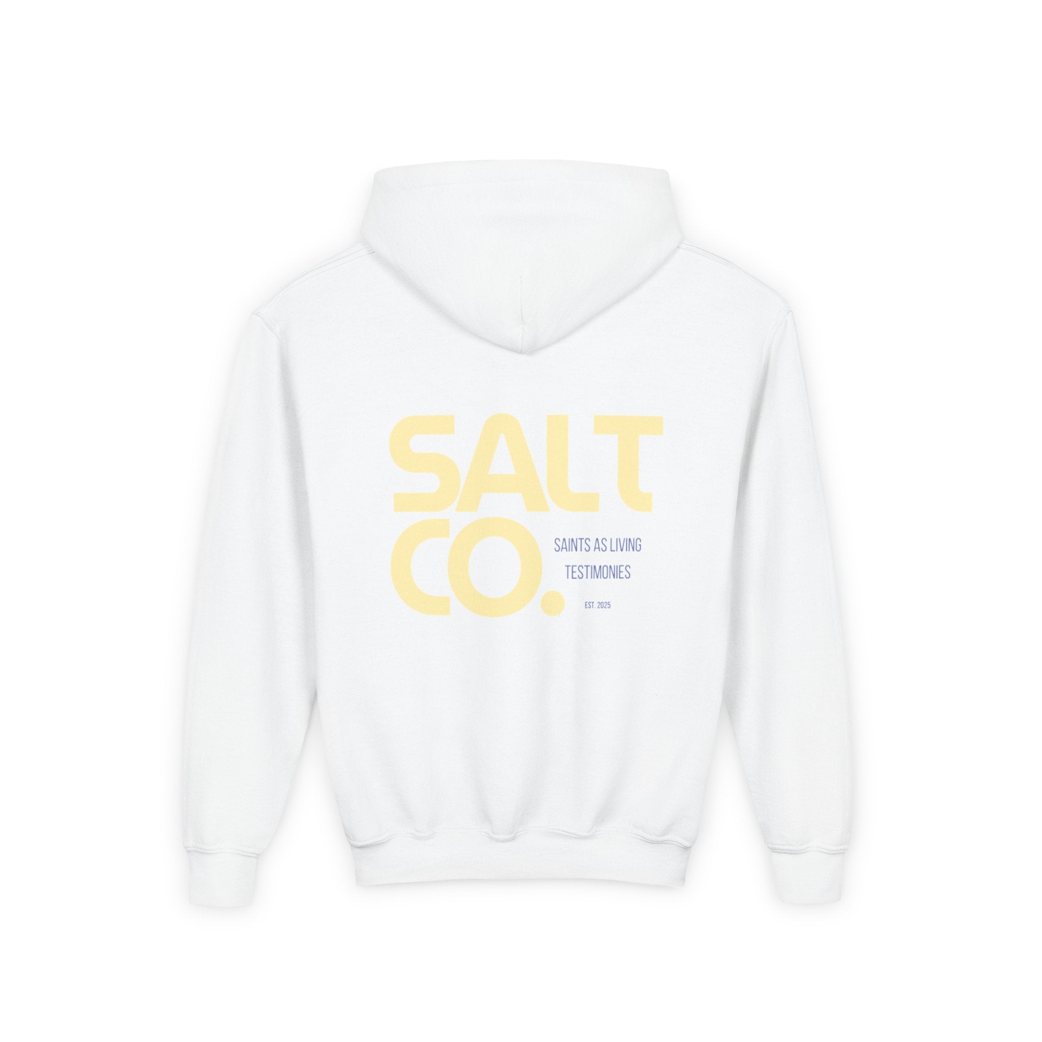Youth Hoodie — 'SALT CO.' Minimal Logo Pullover