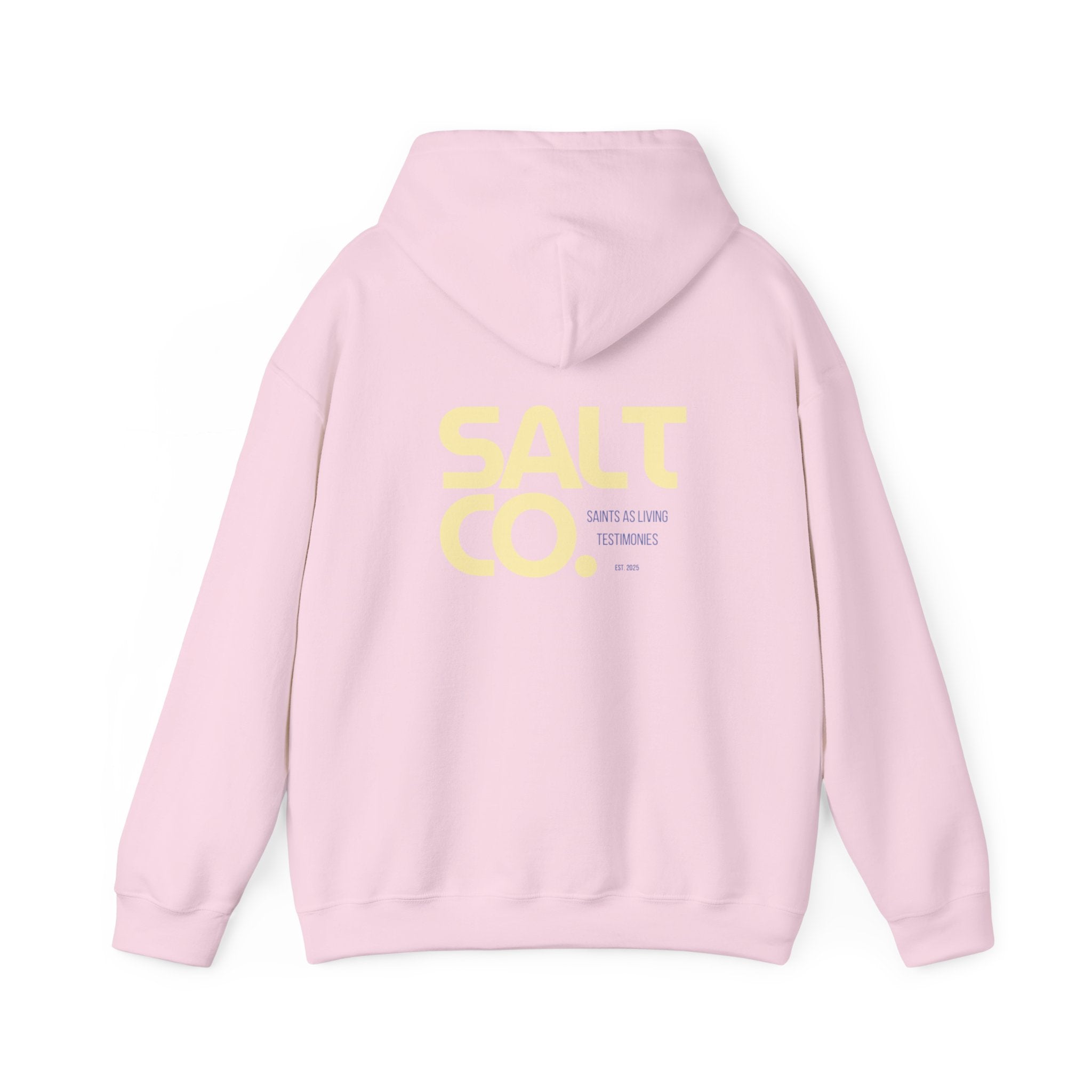 Salt Co. Minimal Logo Hoodie — Coastal-Inspired Neutral Pullover