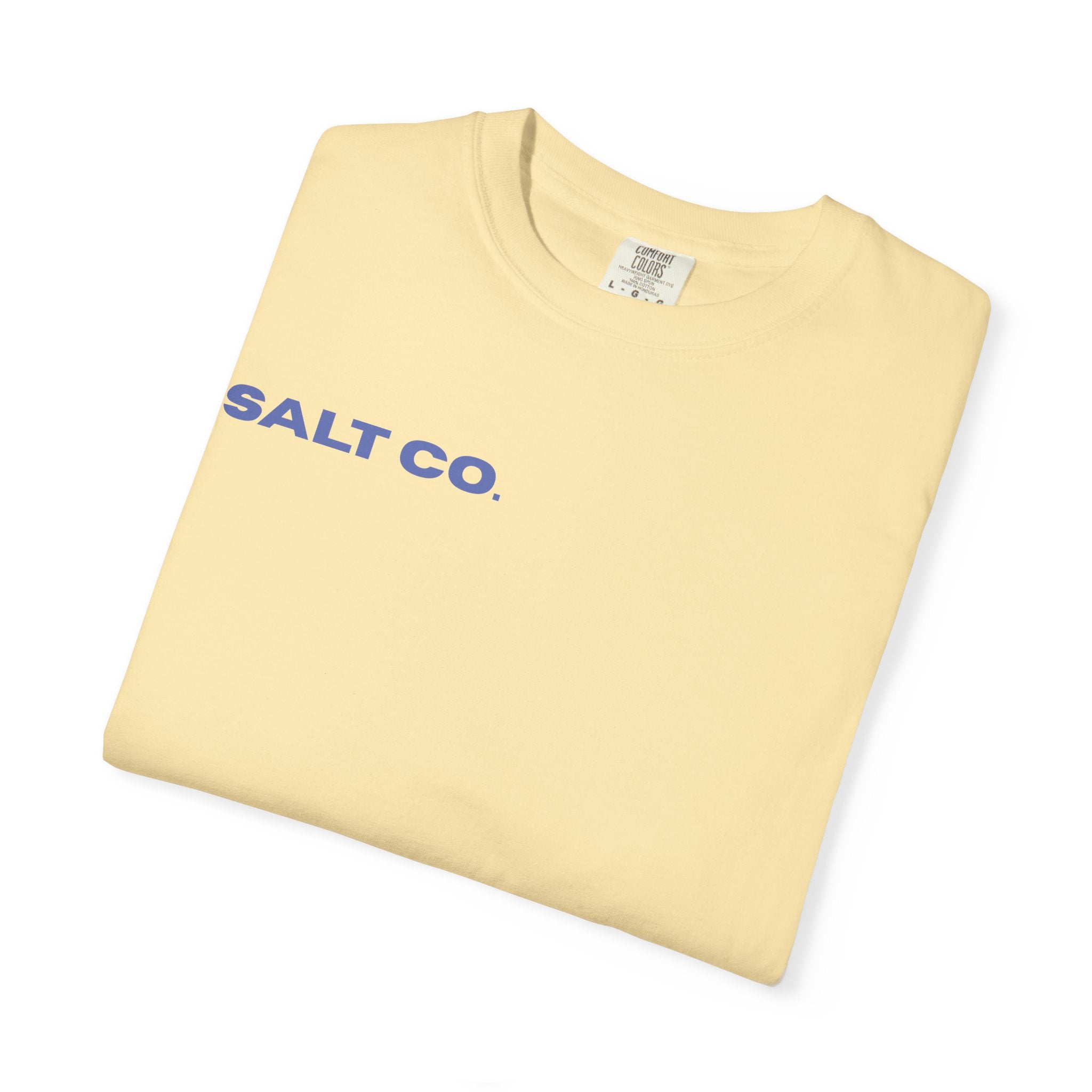 Salt Co. Minimalist Tee — "SAINTS AS LIVING TESTIMONIES" Back Print