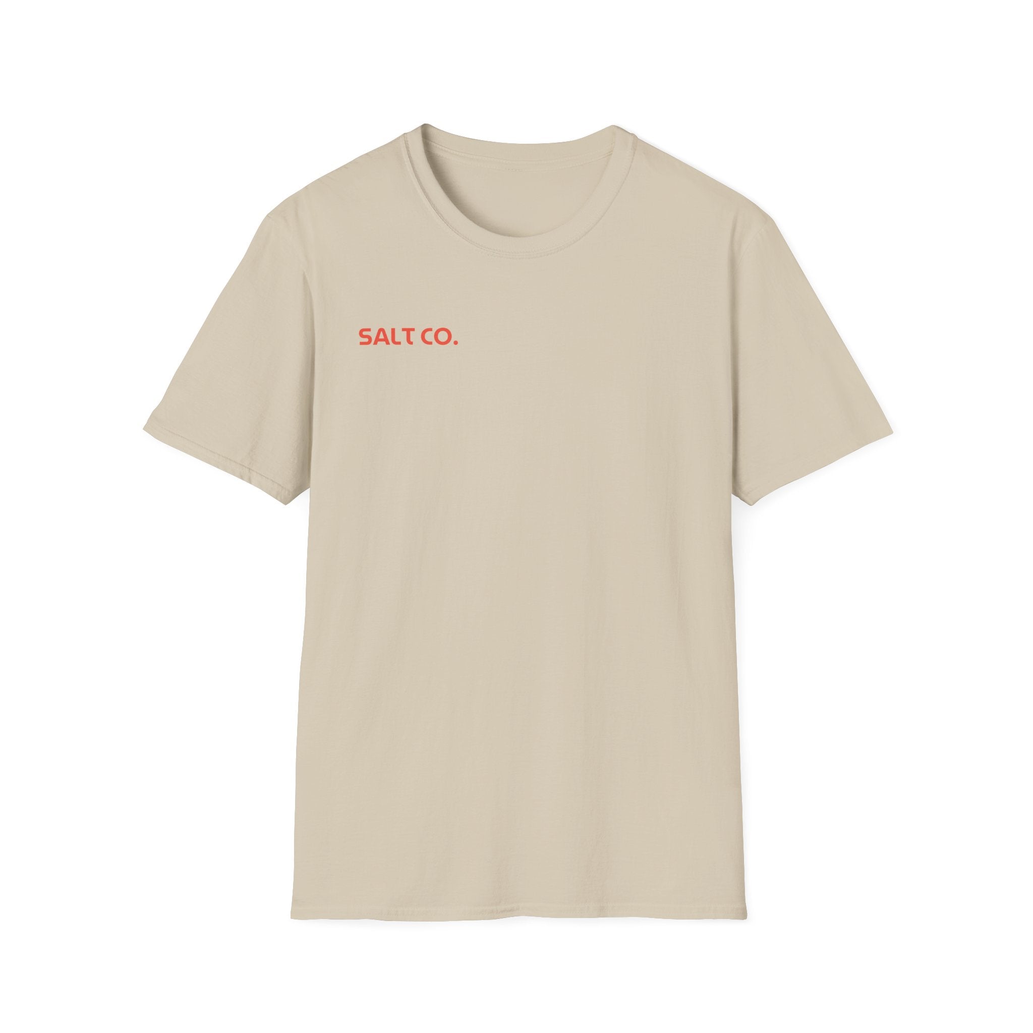 Christian Sunburst T-Shirt — “In His Presence There Is Fullness of Joy” Graphic Tee