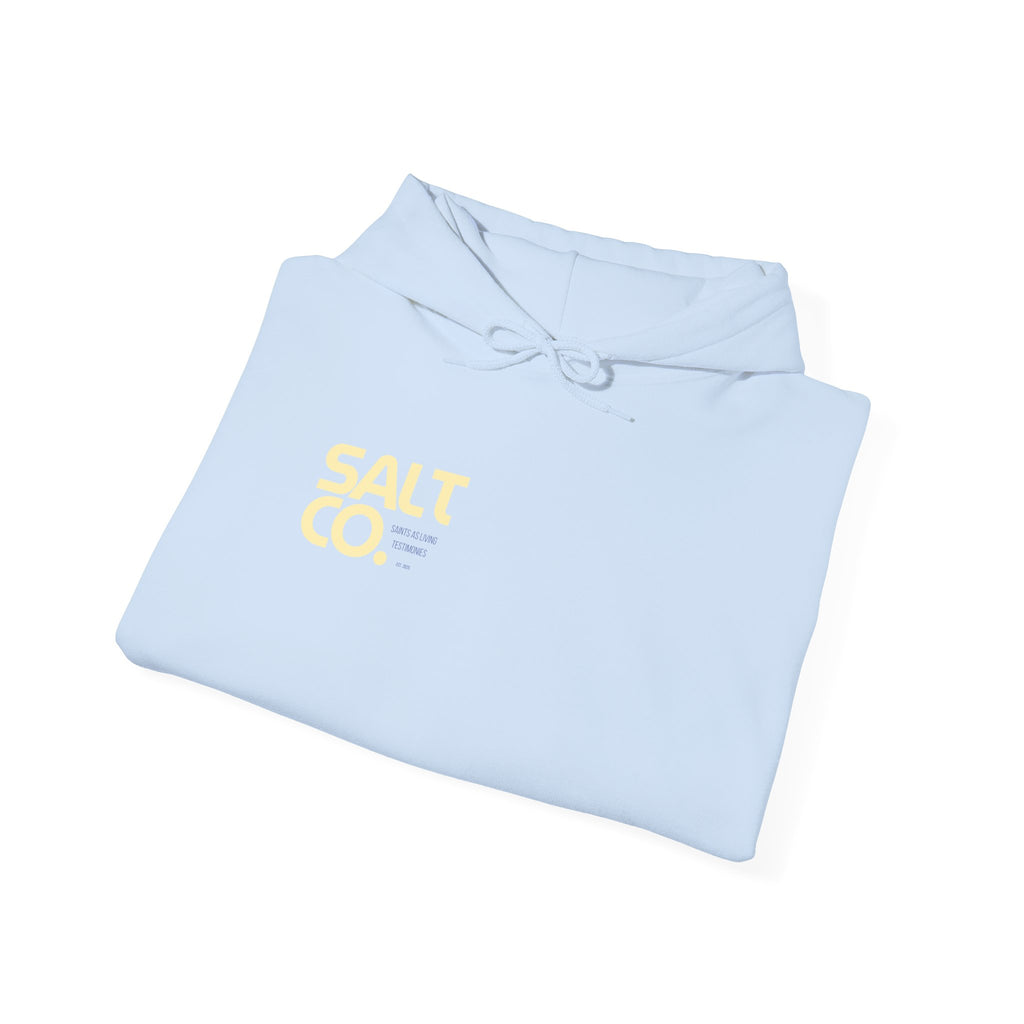 Salt Co. Minimal Logo Hoodie — Coastal-Inspired Neutral Pullover