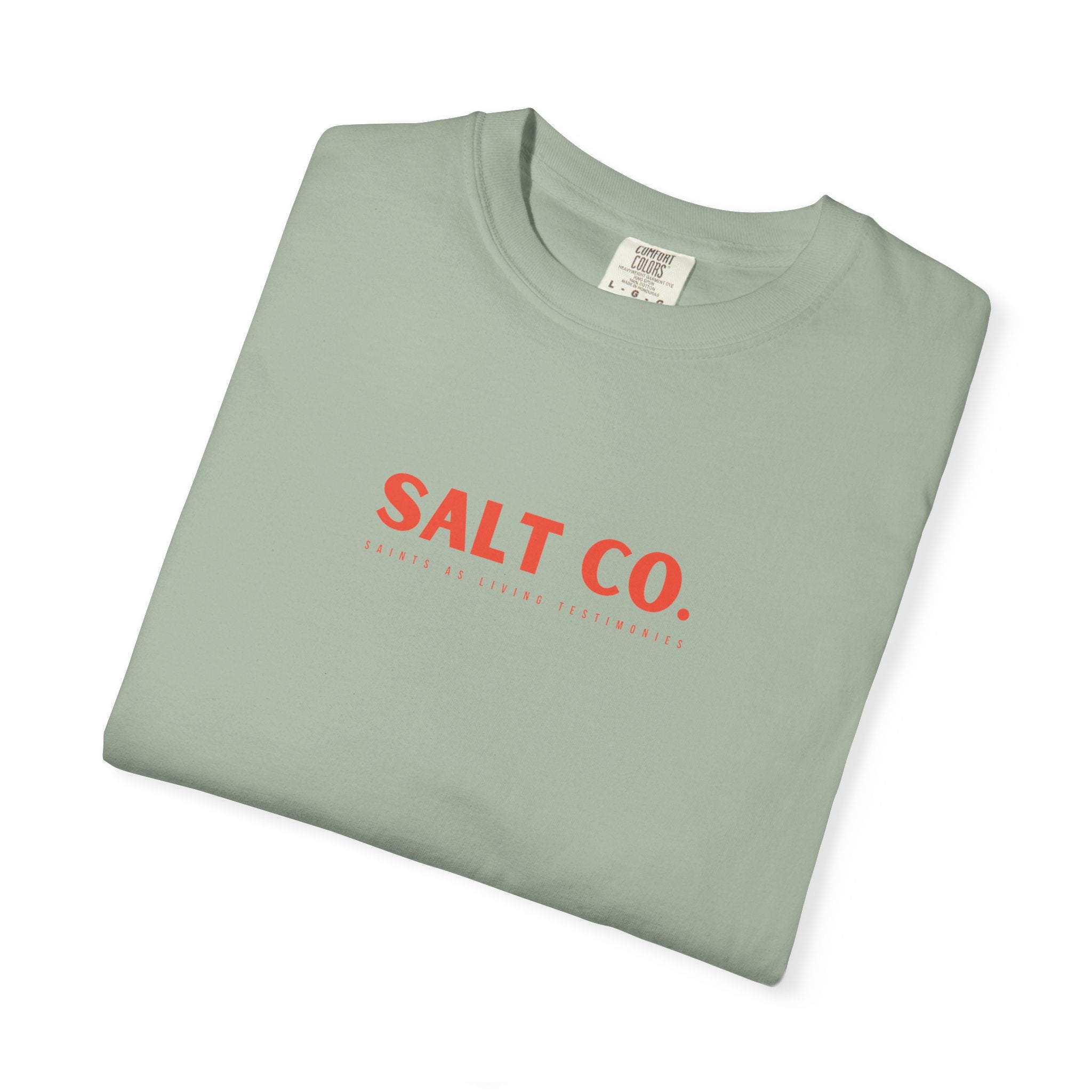 Dawn Patrol 'Salt Co.' T-Shirt