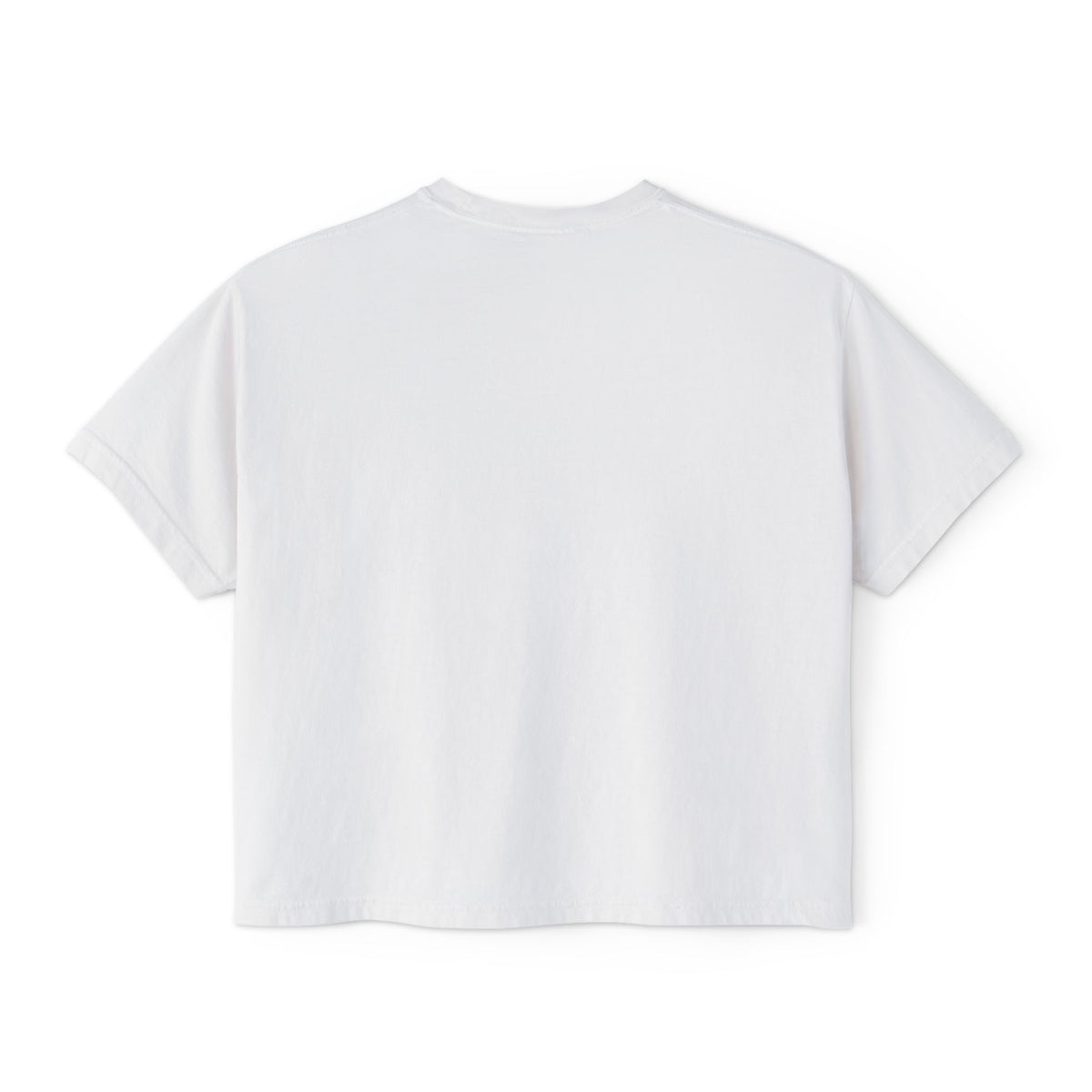 Women's Swan Tee - Matt. 6:26
