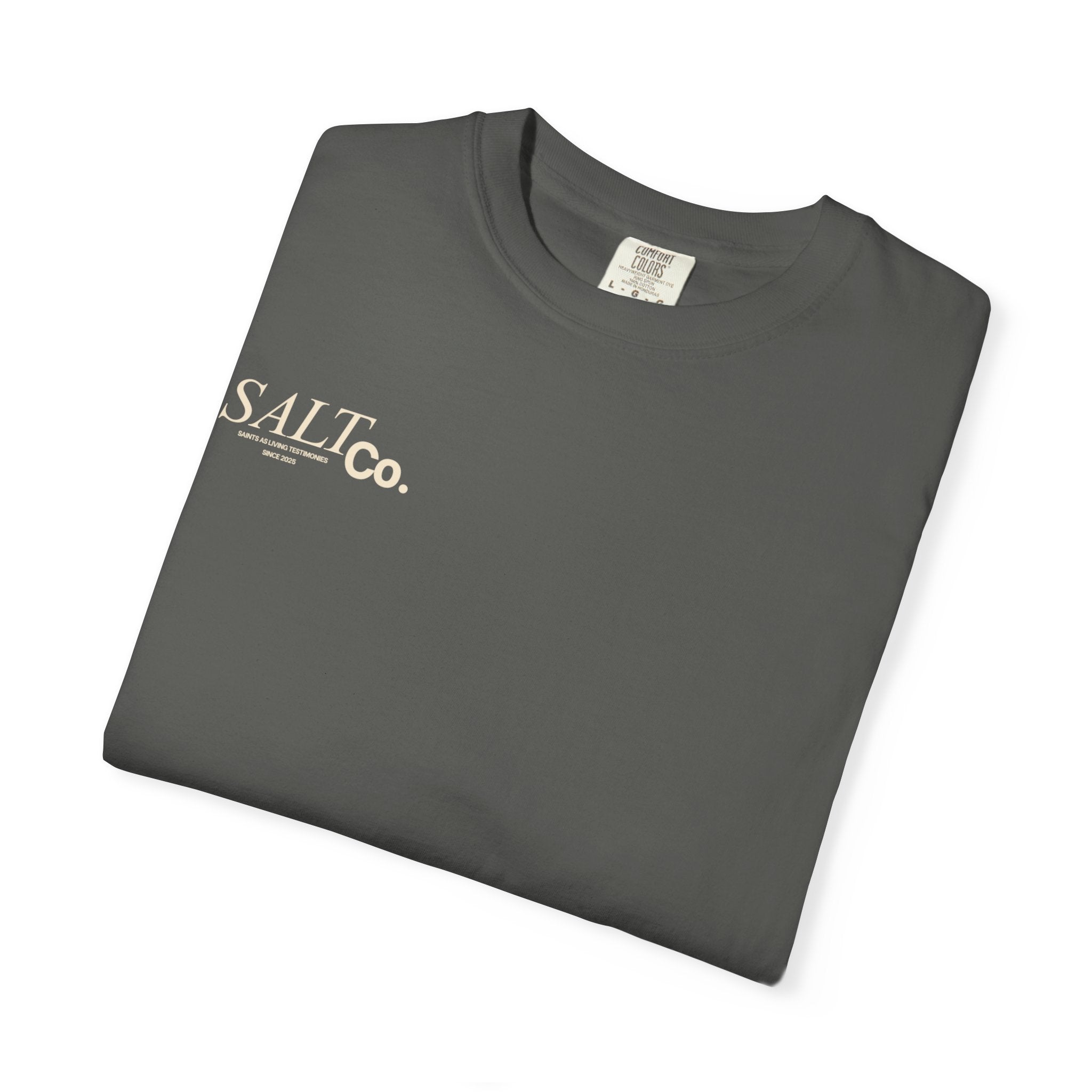 Need Prayer? T-Shirt — S.A.L. Co. Christian Graphic Tee