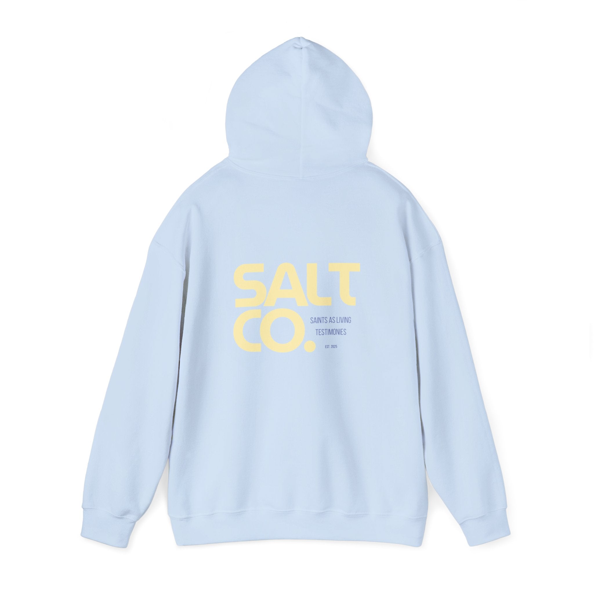 Salt Co. Minimal Logo Hoodie — Coastal-Inspired Neutral Pullover