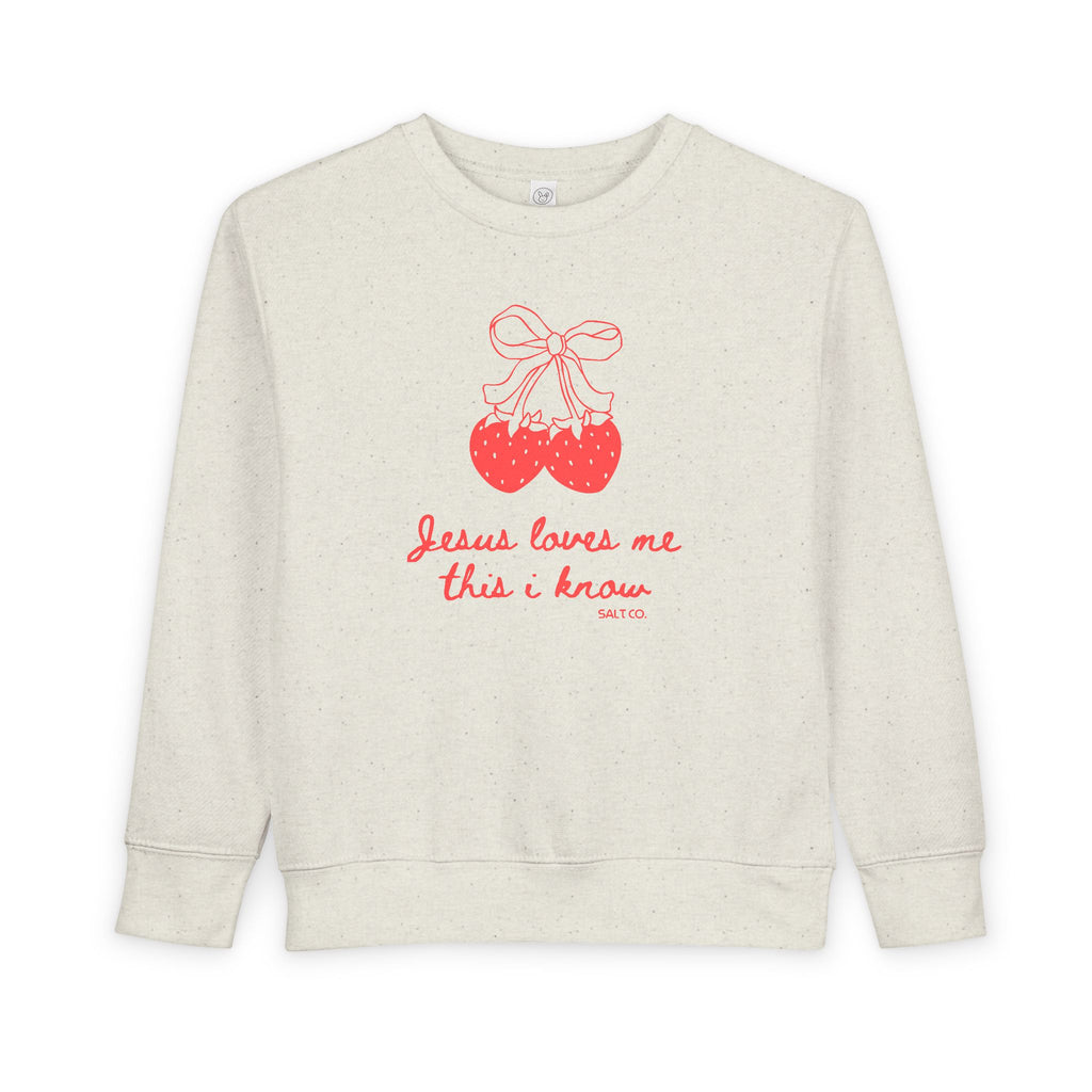Toddler Girl Sweatshirt - "Jesus Loves Me This I Know"