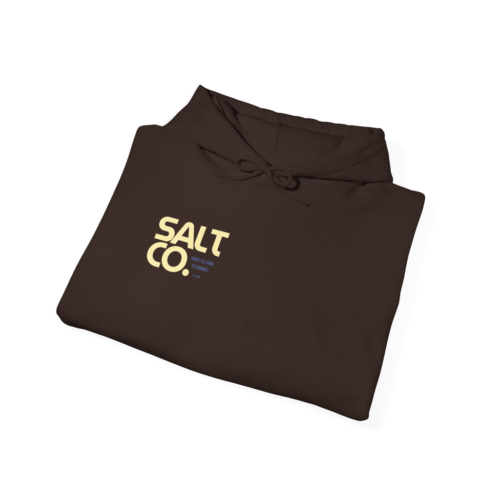 Salt Co. Minimal Logo Hoodie — Coastal-Inspired Neutral Pullover