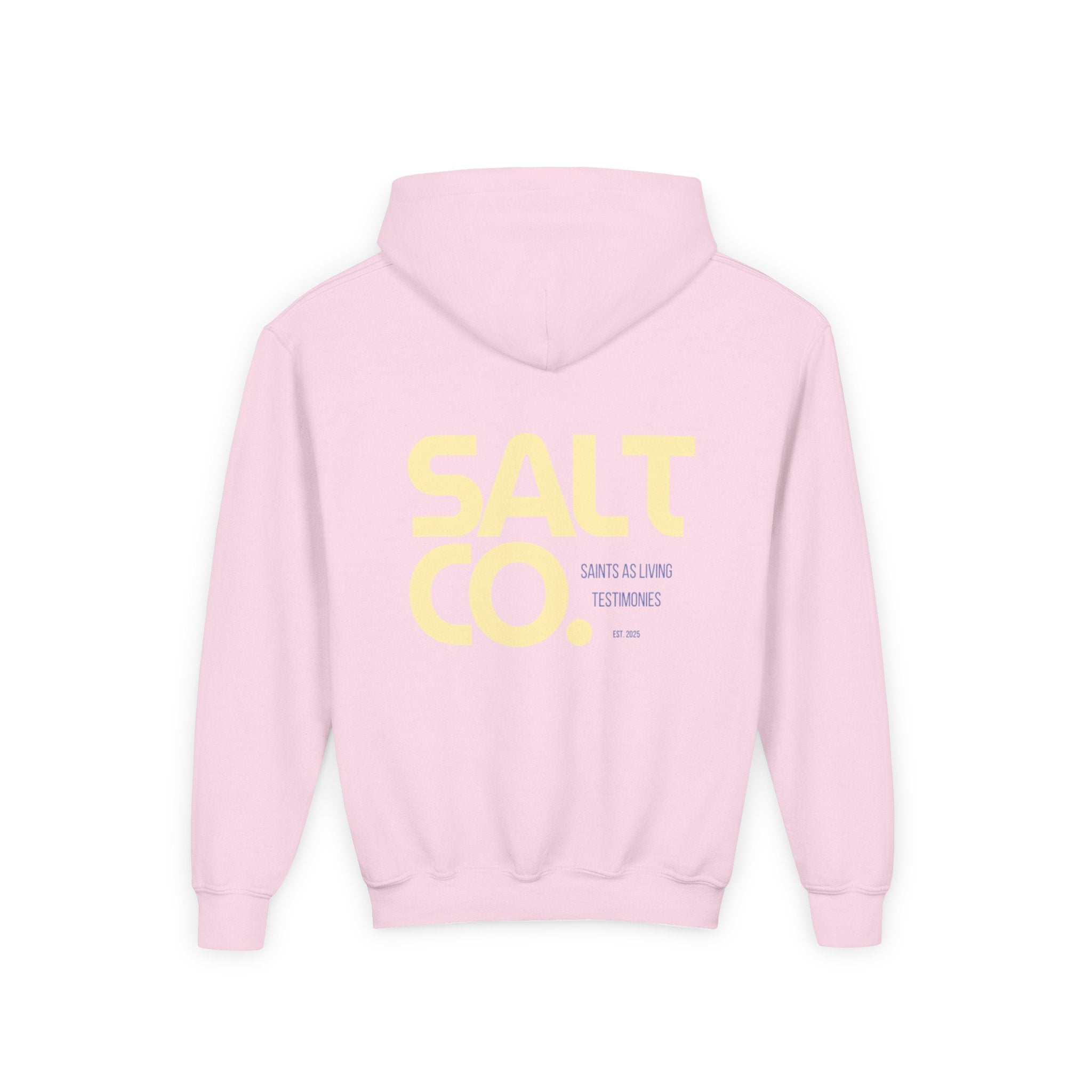 Youth Hoodie — 'SALT CO.' Minimal Logo Pullover