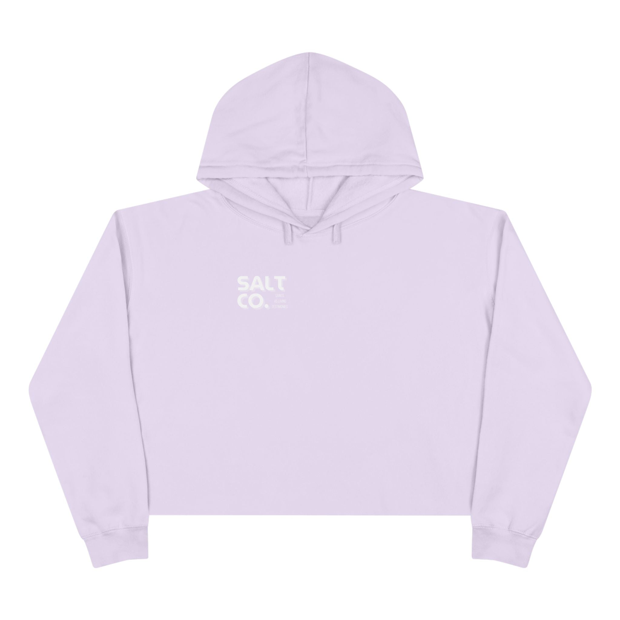 Cropped Hoodie — Minimal 'SALT CO.' Logo Crop Hoodie in Soft Blush