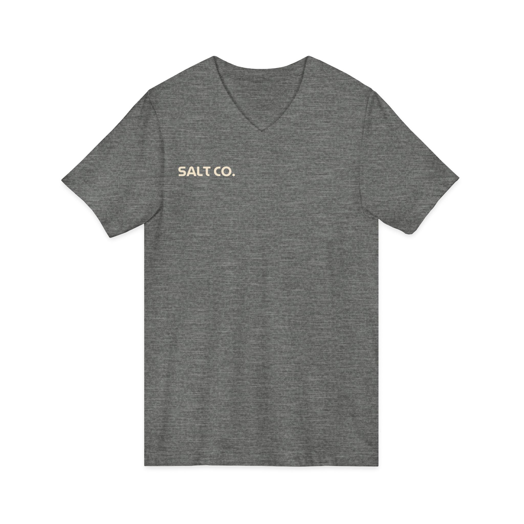 Salt Co. V-Neck Tee — Romans Road