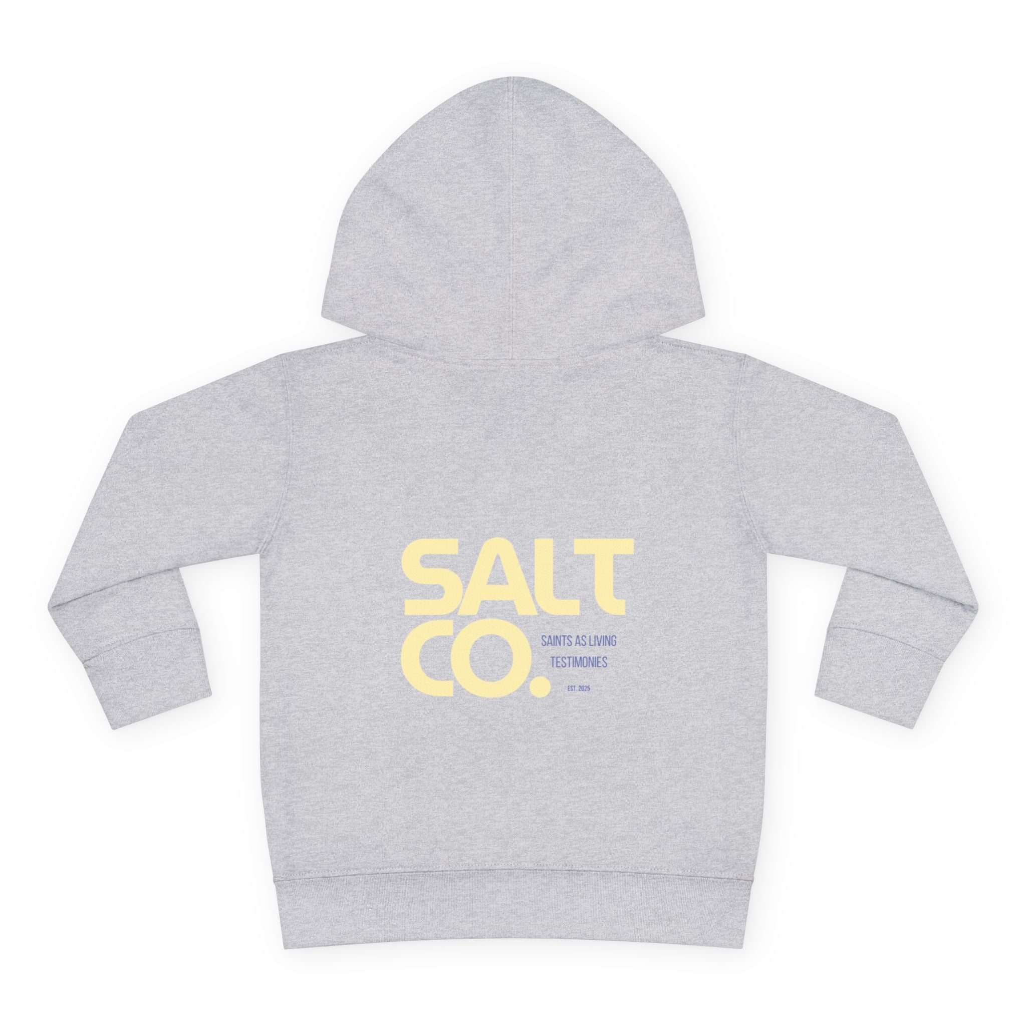 Toddler Hoodie — Salt Co. Logo Pullover Fleece