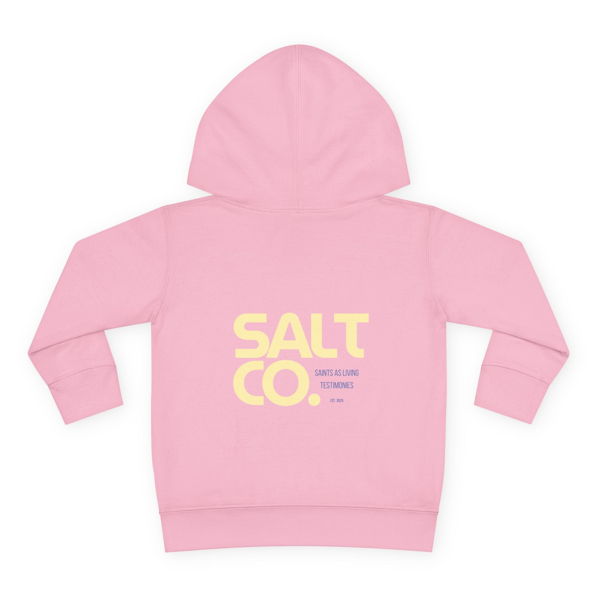 Toddler Hoodie — Salt Co. Logo Pullover Fleece