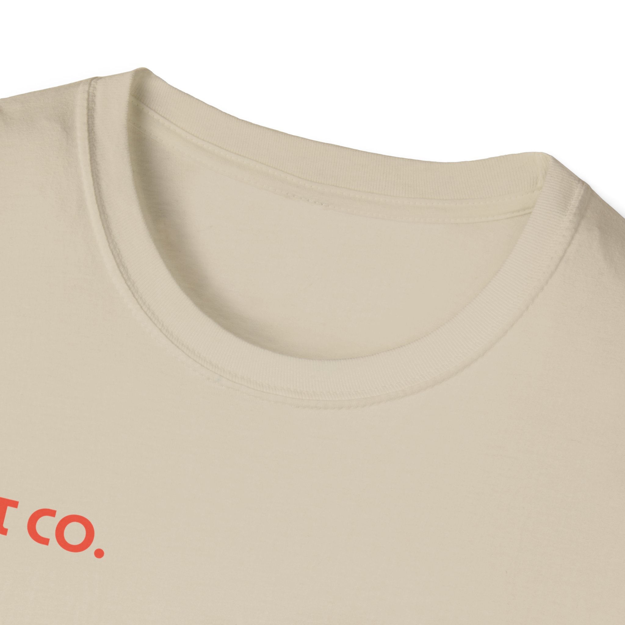 Christian Sunburst T-Shirt — “In His Presence There Is Fullness of Joy” Graphic Tee