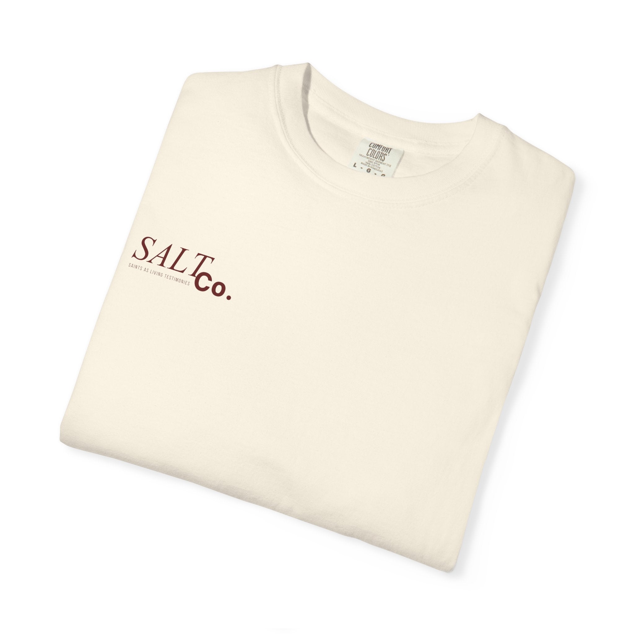 John 14:6 T-Shirt