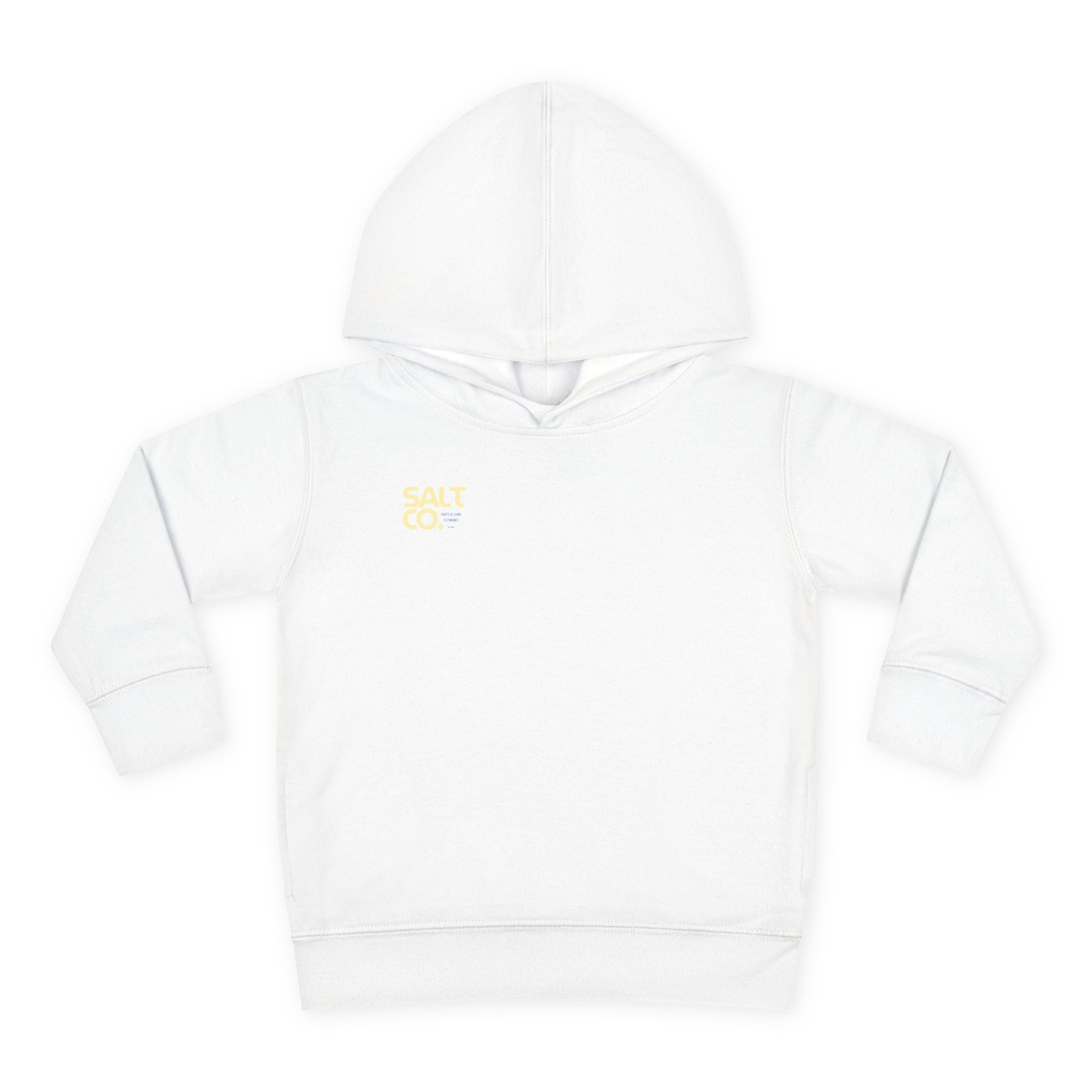Toddler Hoodie — Salt Co. Logo Pullover Fleece