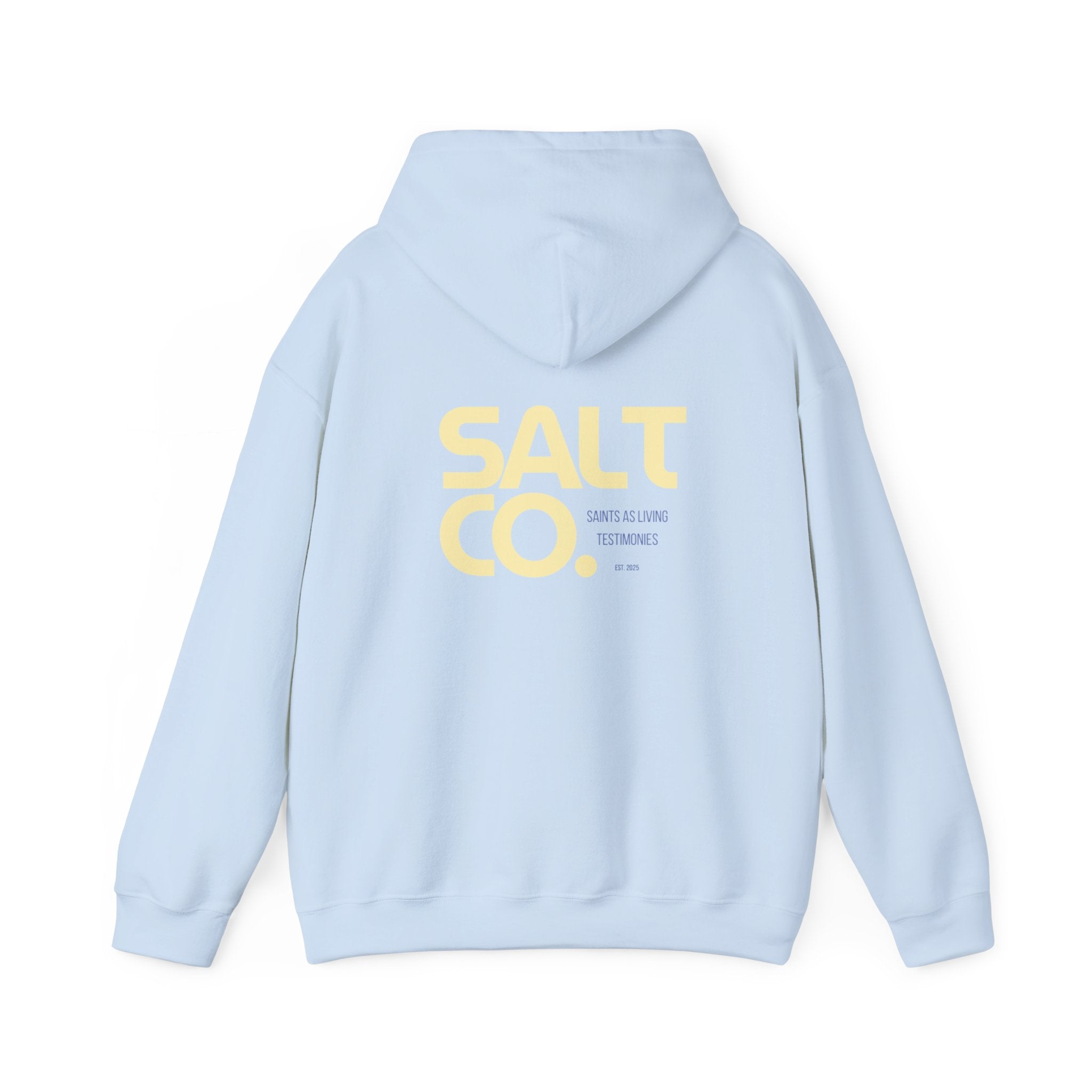 Salt Co. Minimal Logo Hoodie — Coastal-Inspired Neutral Pullover