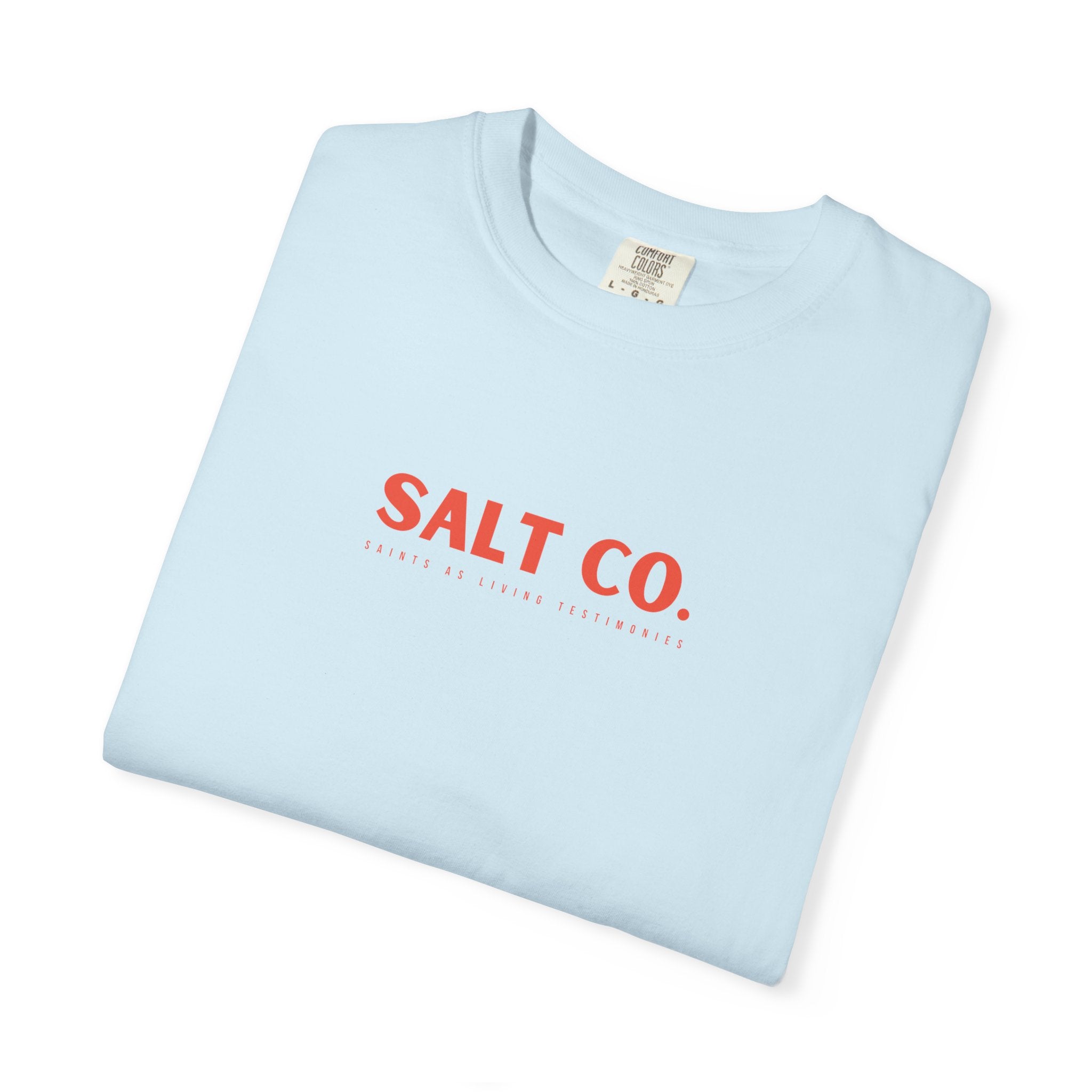 Dawn Patrol 'Salt Co.' T-Shirt