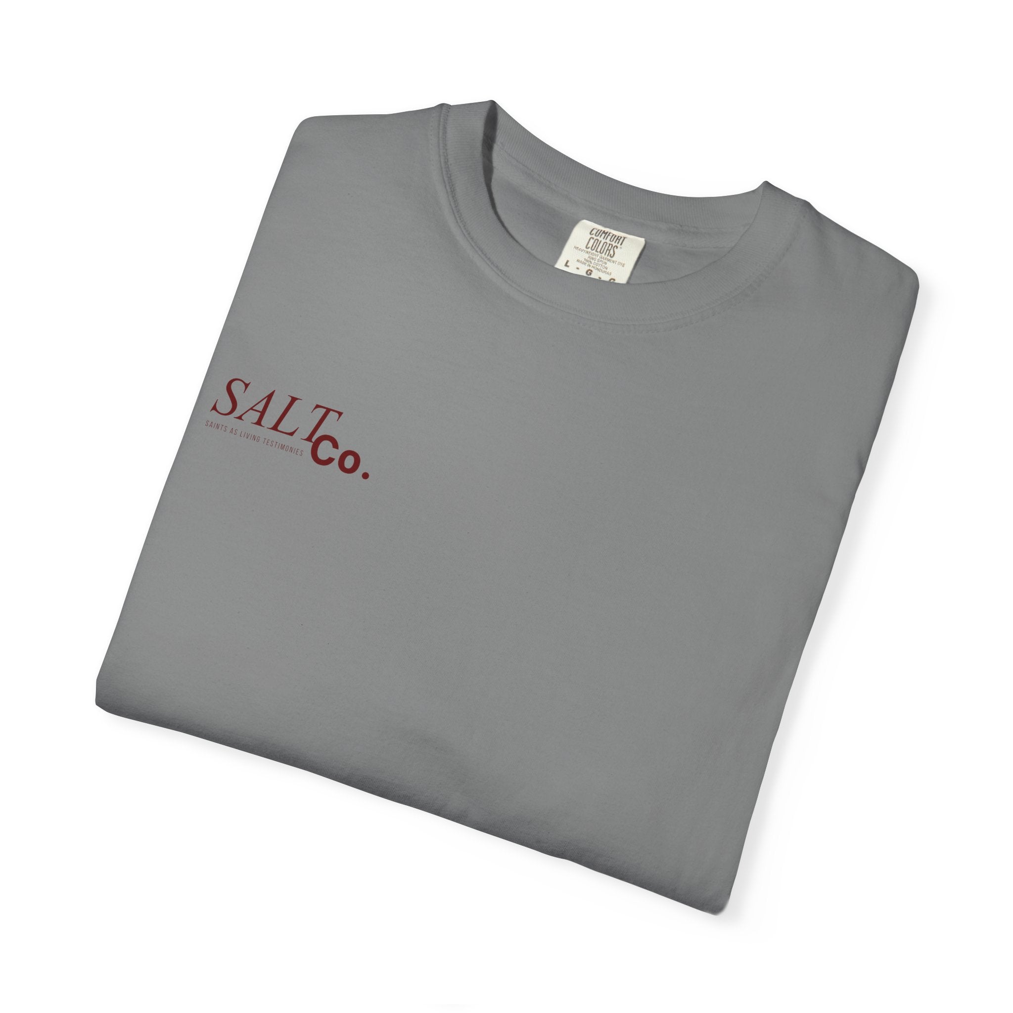 John 14:6 T-Shirt