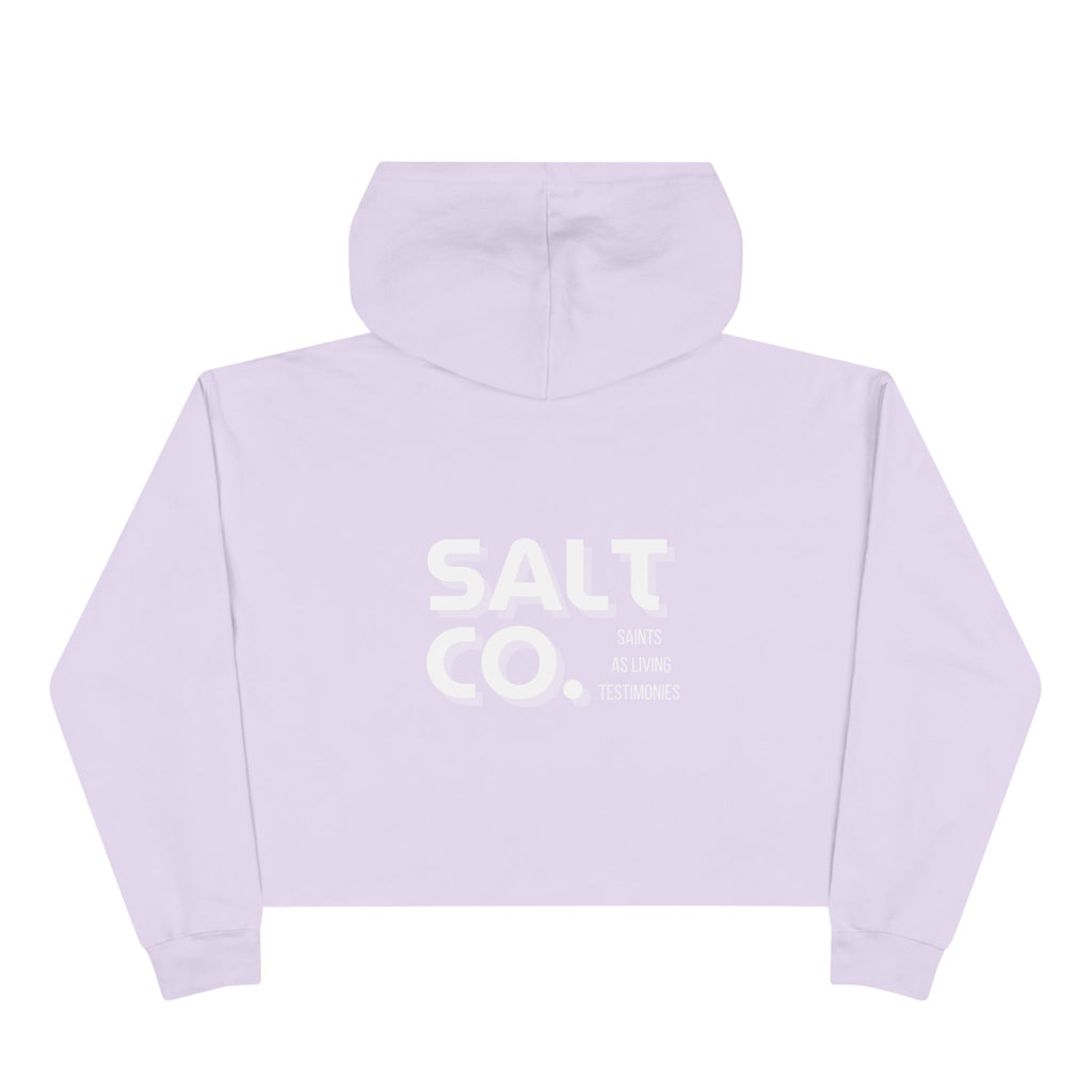 Cropped Hoodie — Minimal 'SALT CO.' Logo Crop Hoodie in Soft Blush