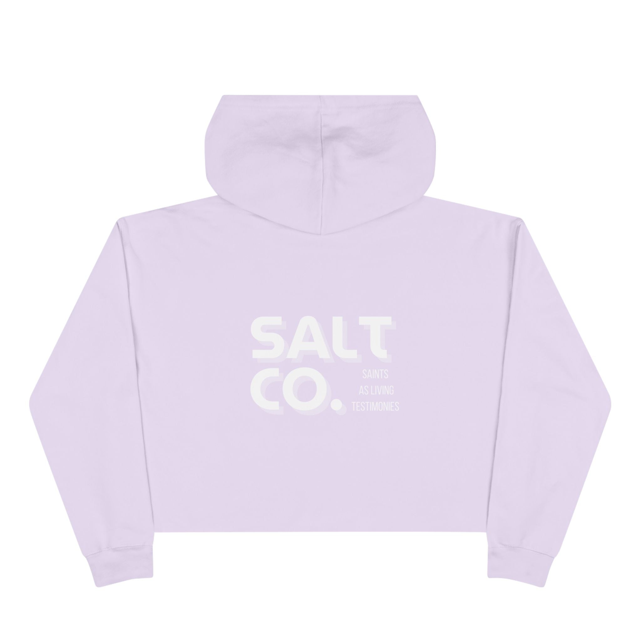 Cropped Hoodie — Minimal 'SALT CO.' Logo Crop Hoodie in Soft Blush