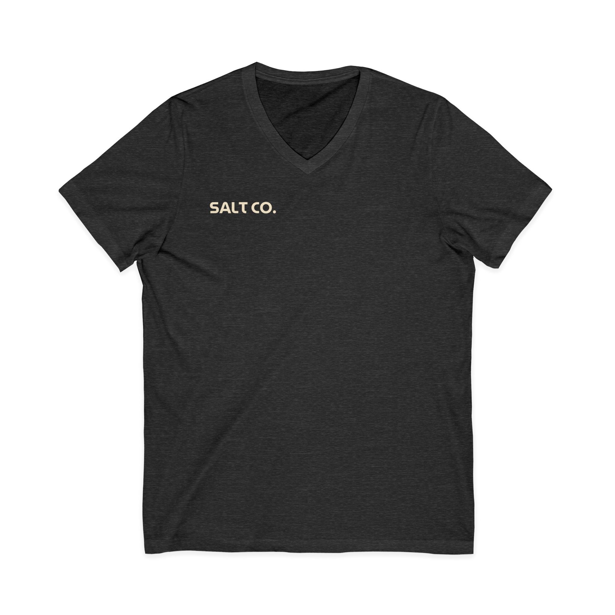 Salt Co. V-Neck Tee — Romans Road