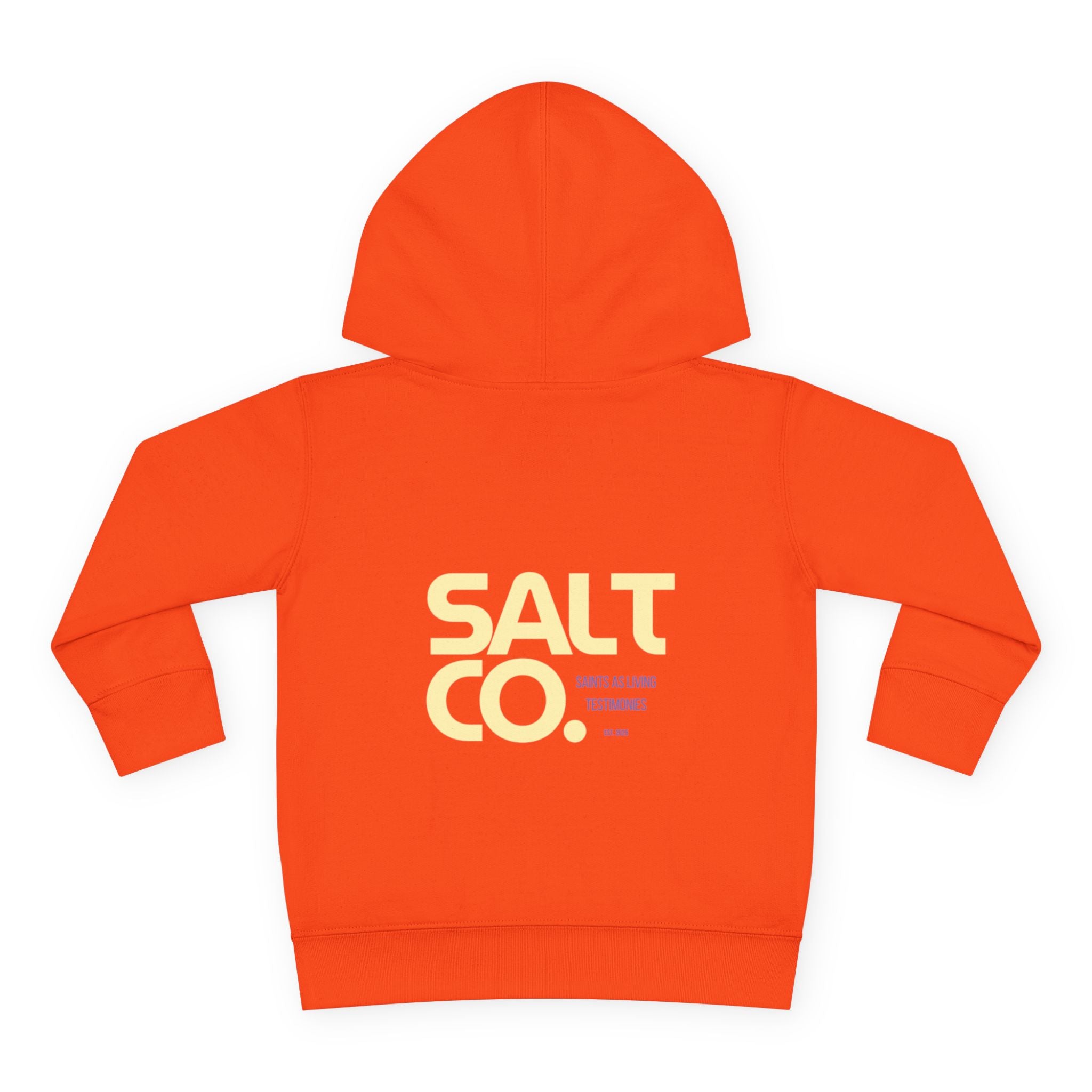 Toddler Hoodie — Salt Co. Logo Pullover Fleece