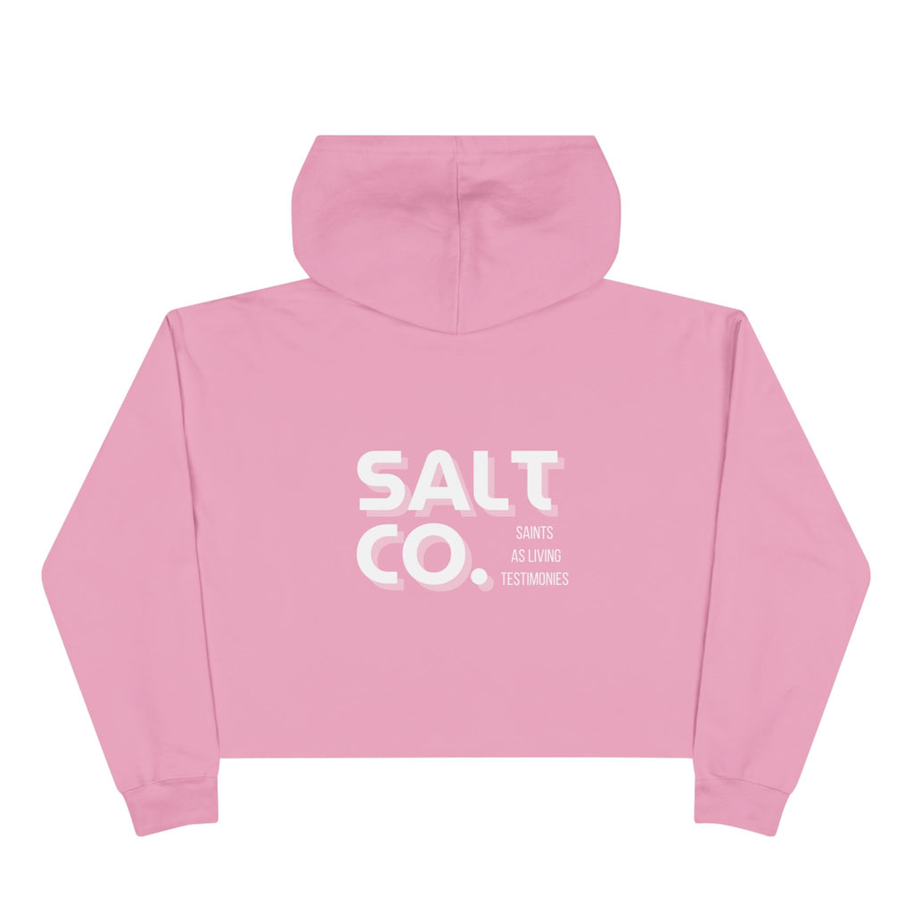 Cropped Hoodie — Minimal 'SALT CO.' Logo Crop Hoodie in Soft Blush