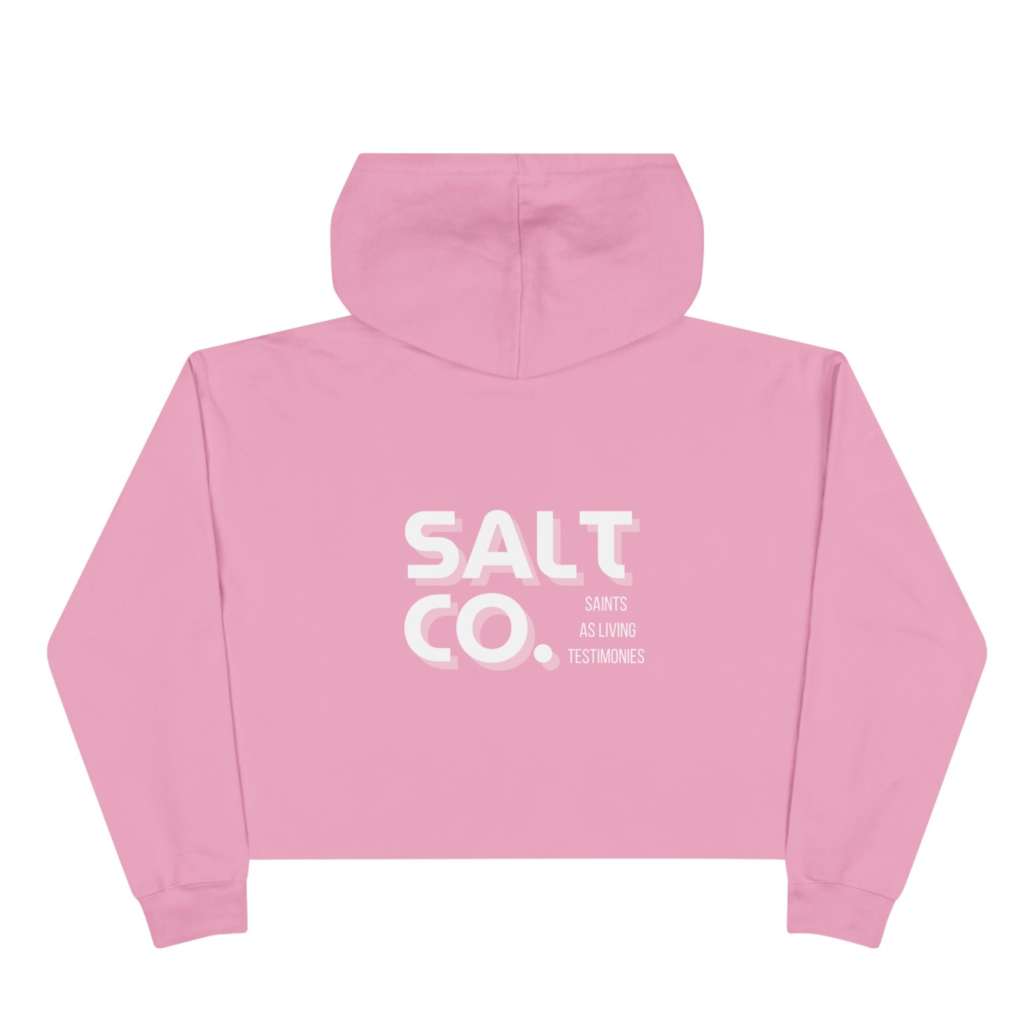 Cropped Hoodie — Minimal 'SALT CO.' Logo Crop Hoodie in Soft Blush