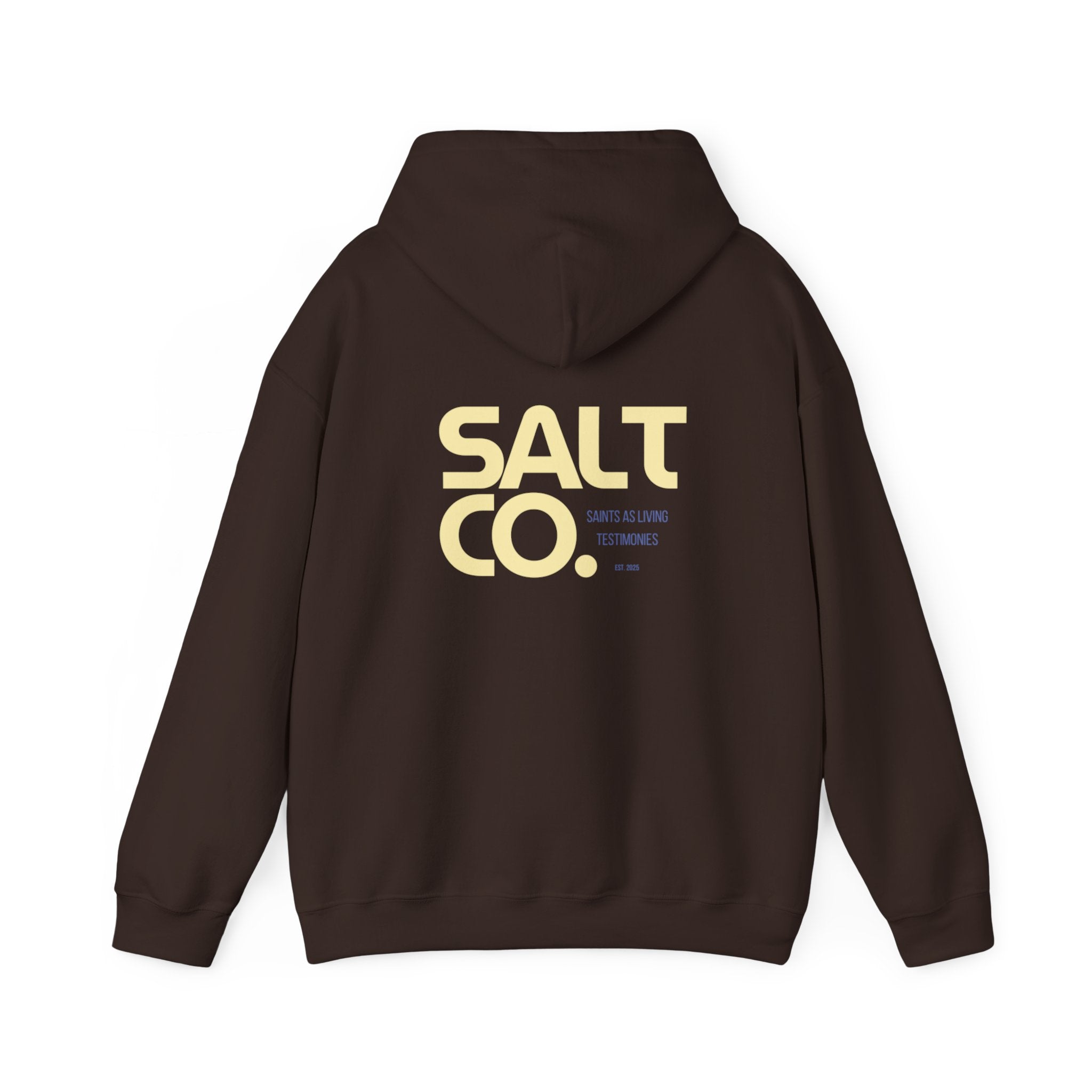 Salt Co. Minimal Logo Hoodie — Coastal-Inspired Neutral Pullover