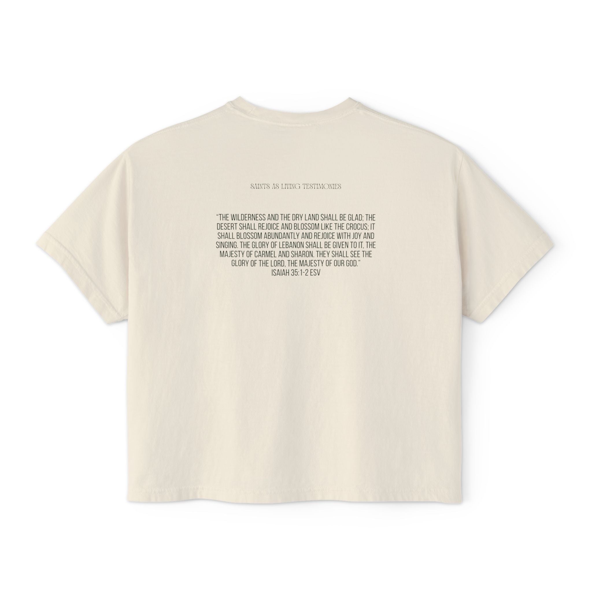 Bloom & Rejoice Women's Boxy Tee — Floral Urn Graphic with Inspirational Scripture Back