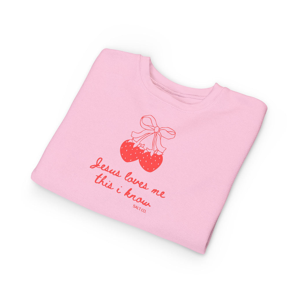Toddler Girl Sweatshirt - "Jesus Loves Me This I Know"
