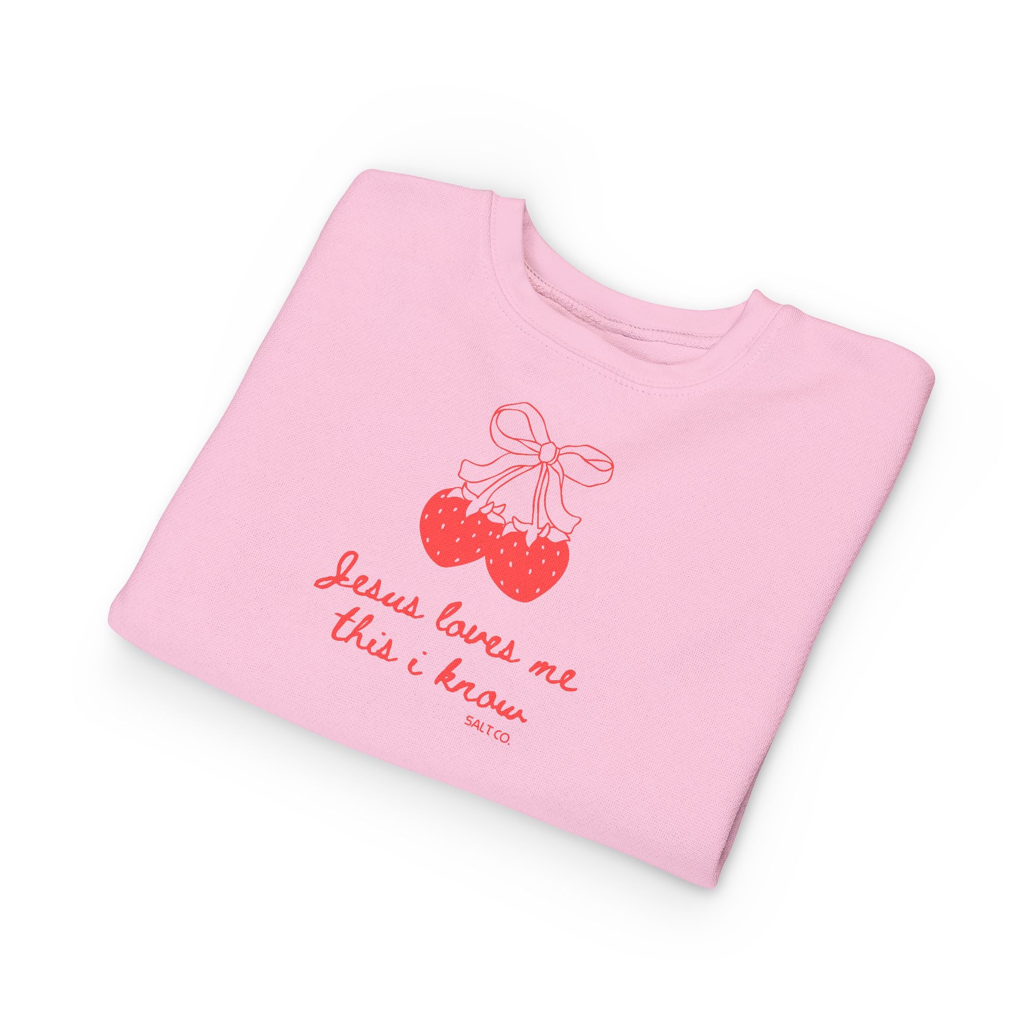 Toddler Girl Sweatshirt - "Jesus Loves Me This I Know"