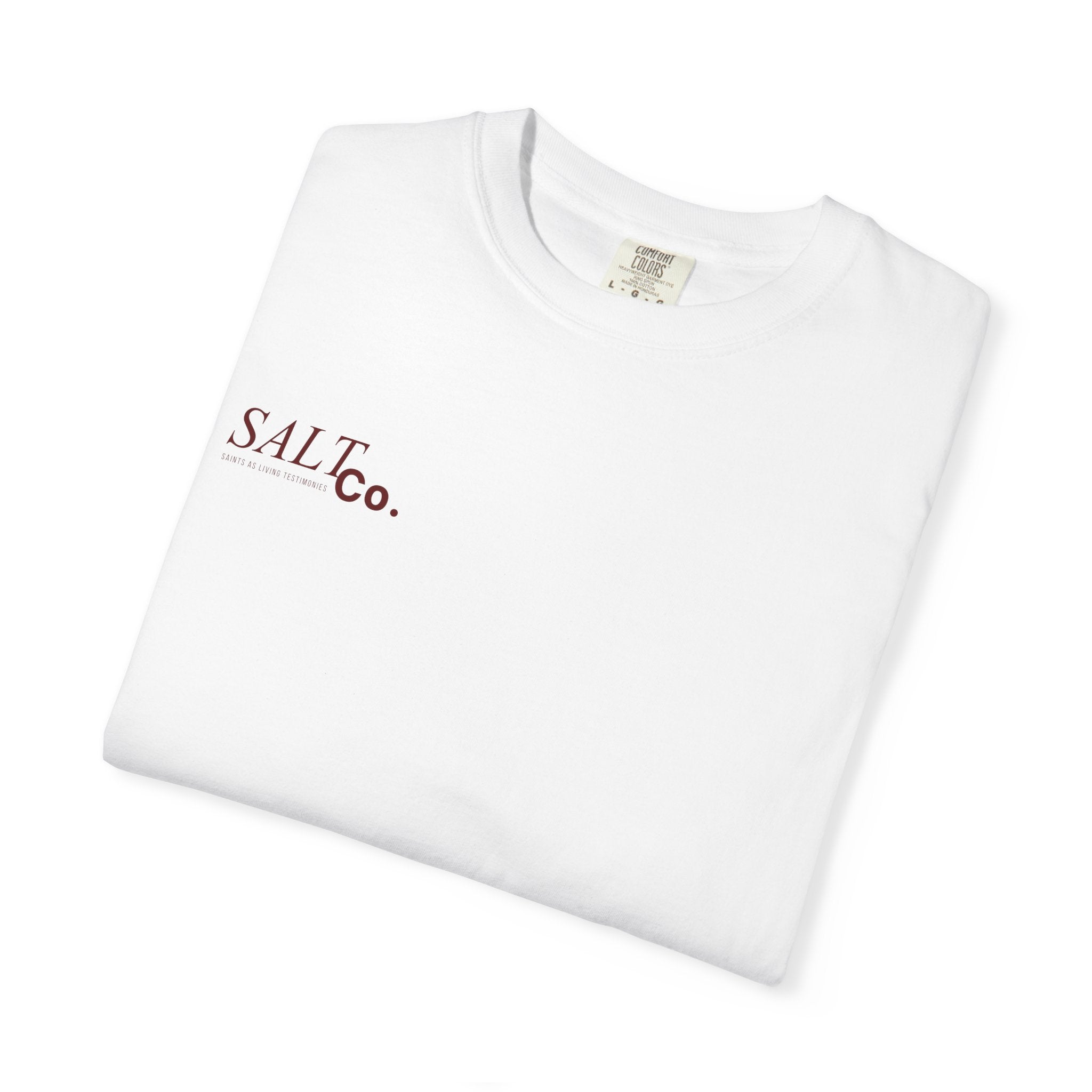 John 14:6 T-Shirt