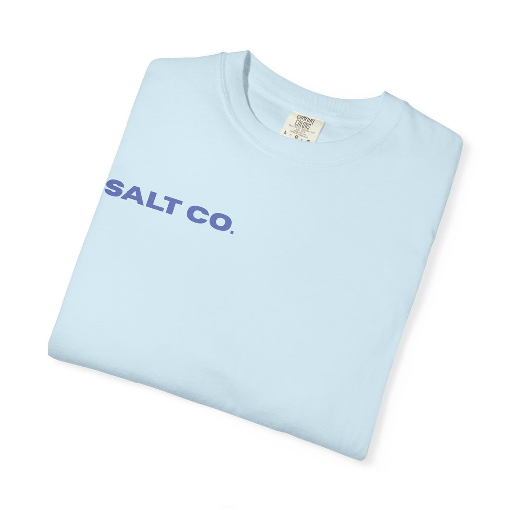 Salt Co. Minimalist Tee — "SAINTS AS LIVING TESTIMONIES" Back Print