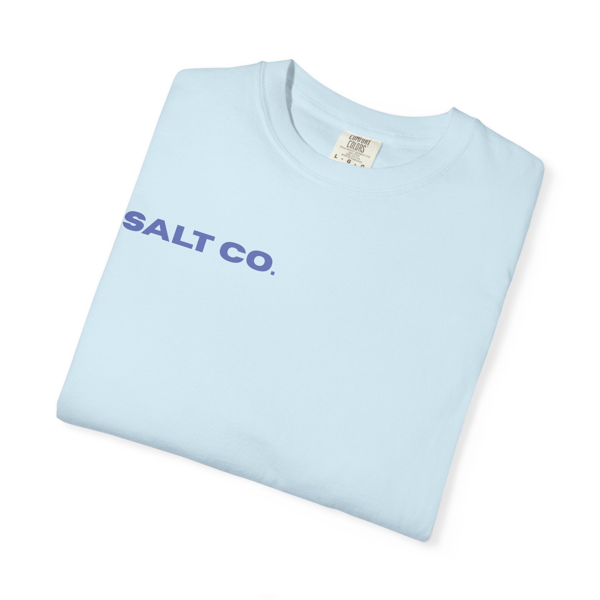 Salt Co. Minimalist Tee — "SAINTS AS LIVING TESTIMONIES" Back Print