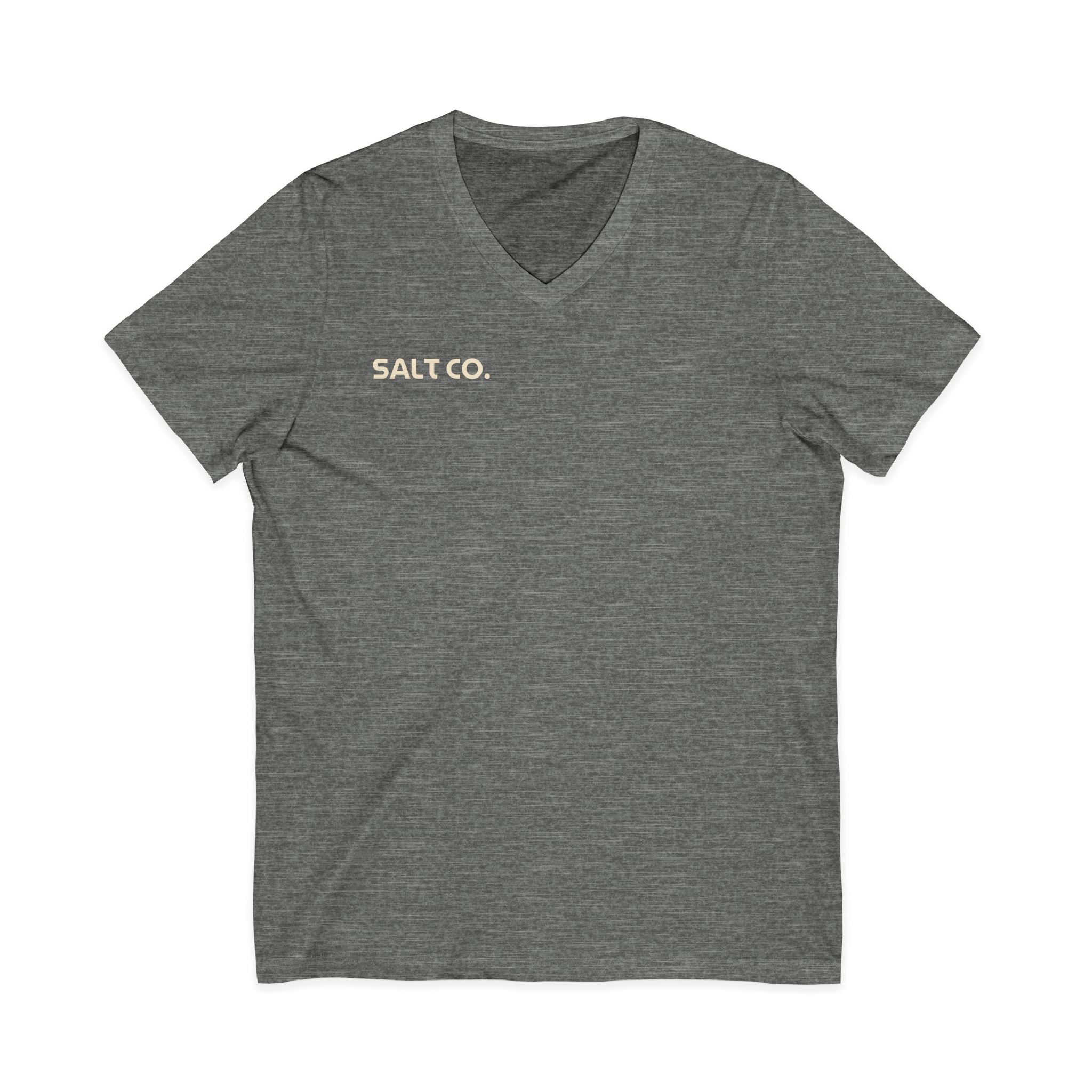 Salt Co. V-Neck Tee — Romans Road