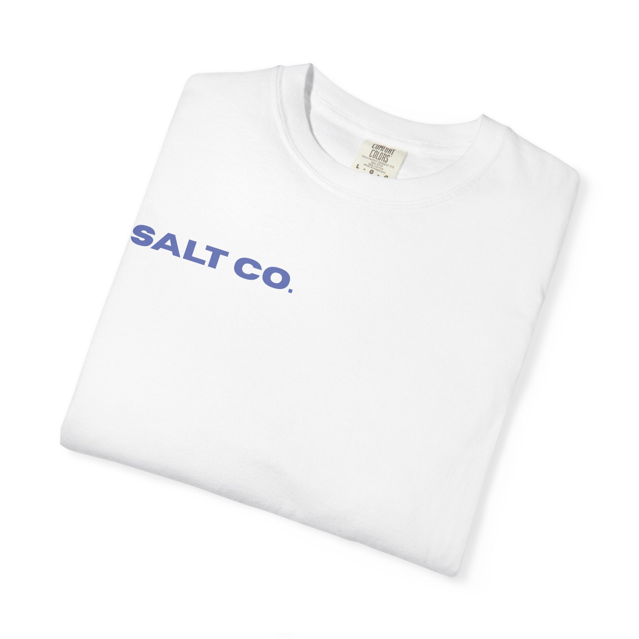 Salt Co. Minimalist Tee — "SAINTS AS LIVING TESTIMONIES" Back Print