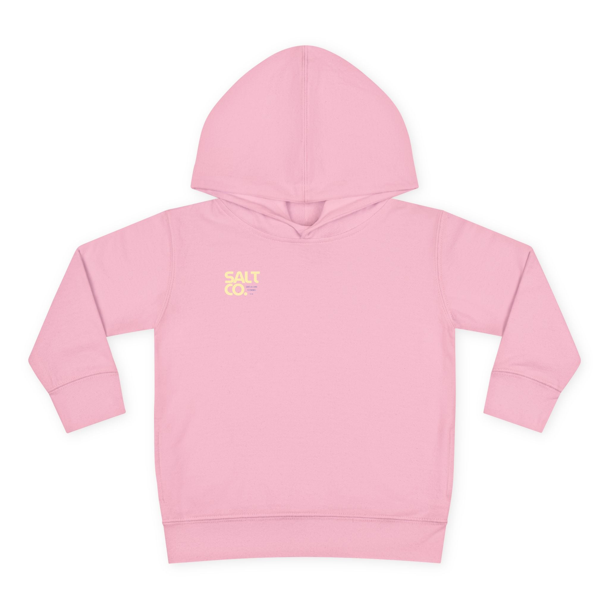 Toddler Hoodie — Salt Co. Logo Pullover Fleece
