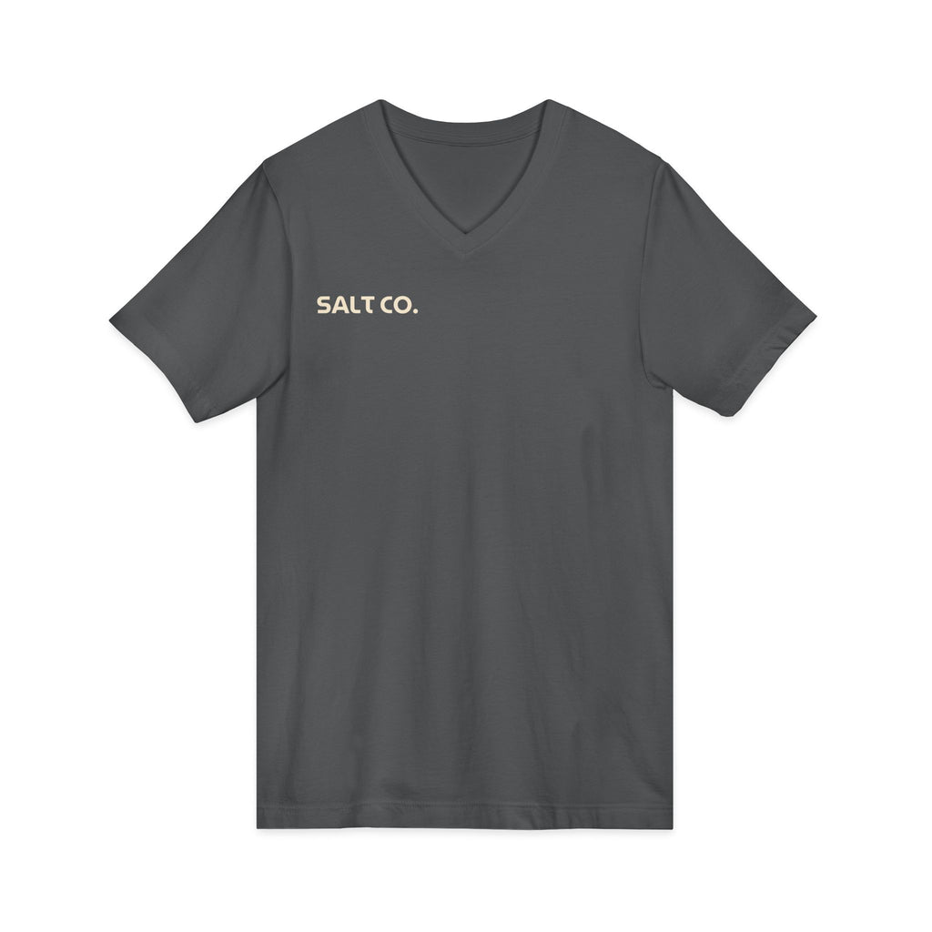 Salt Co. V-Neck Tee — Romans Road