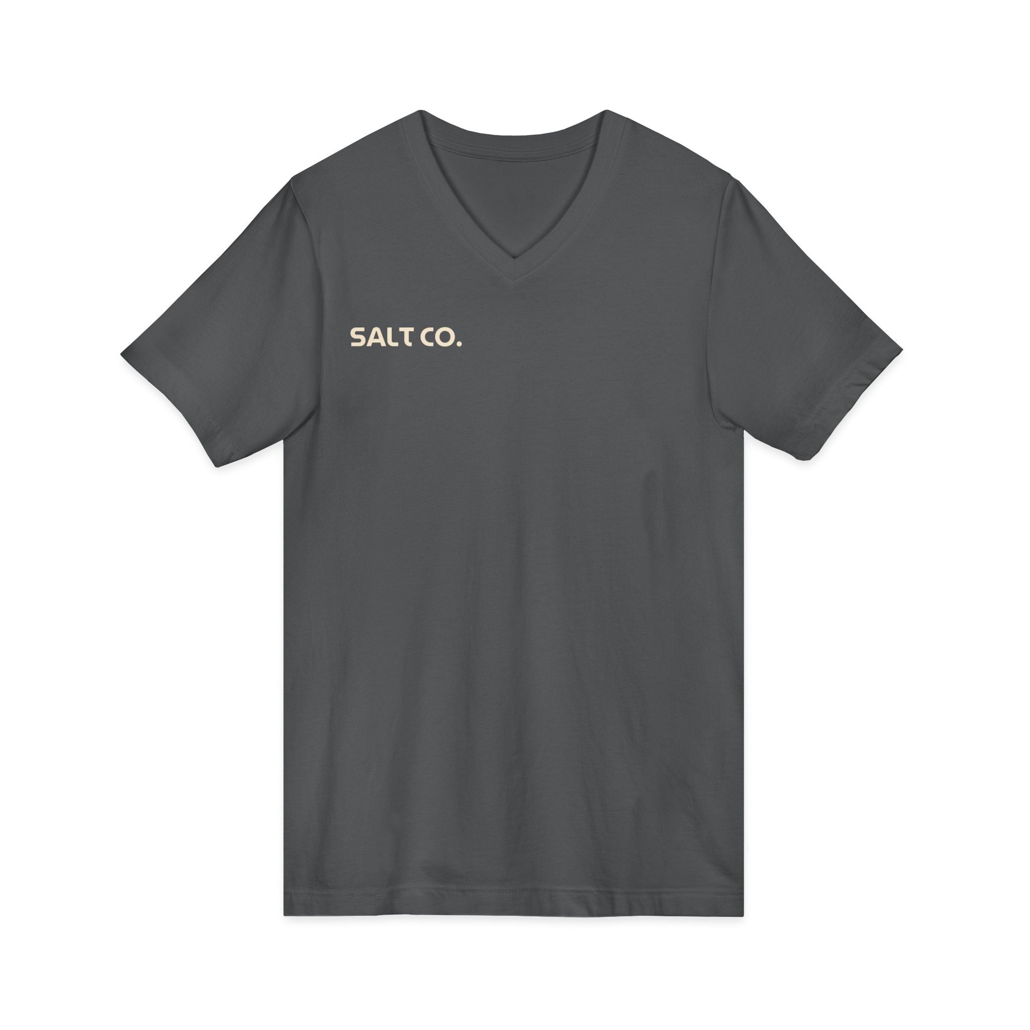 Salt Co. V-Neck Tee — Romans Road