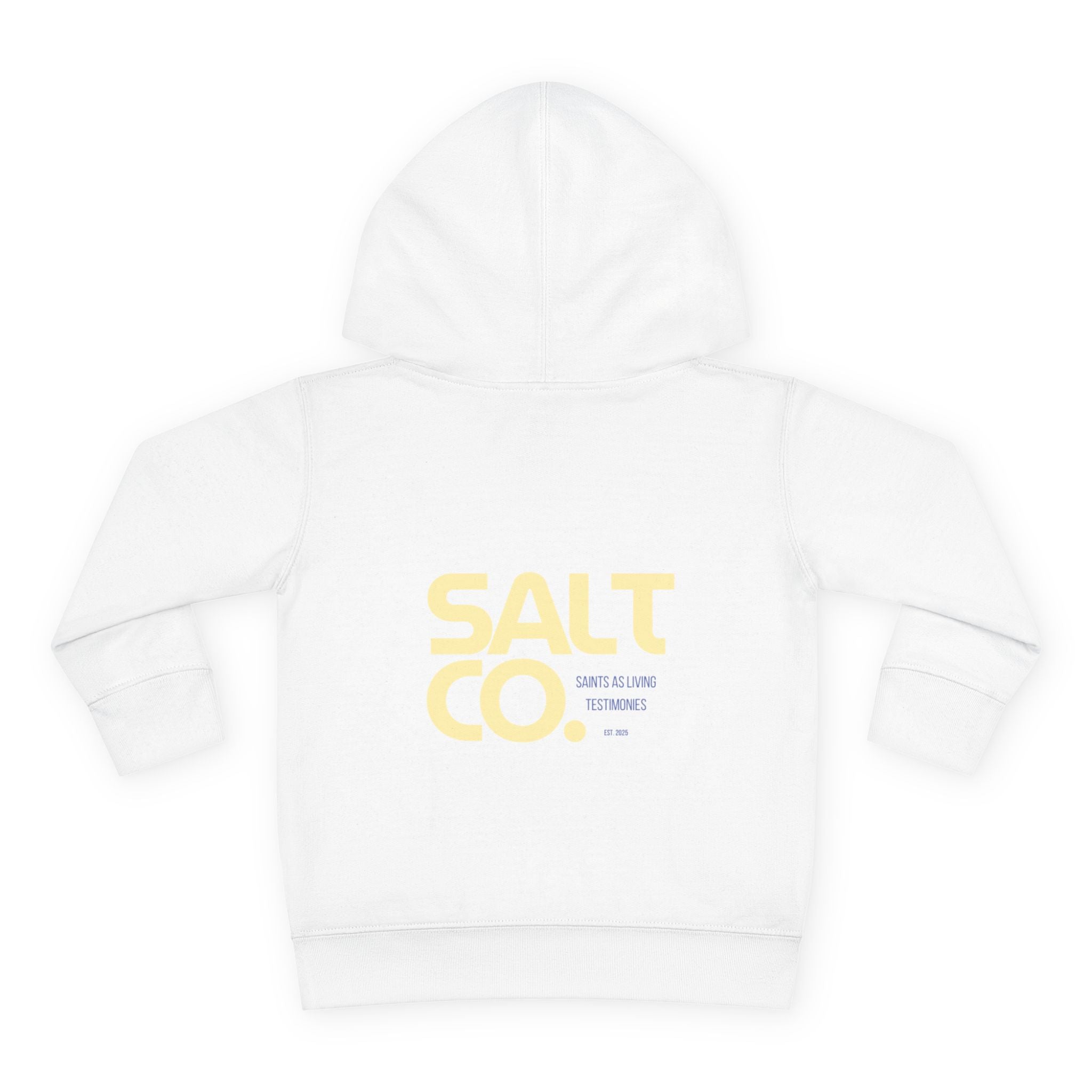 Toddler Hoodie — Salt Co. Logo Pullover Fleece